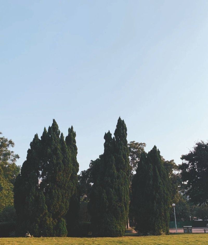 城东公园旅行图片 2