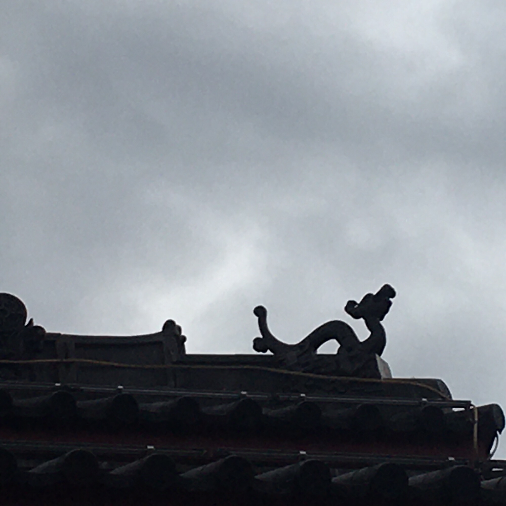 广福园旅行图片 1