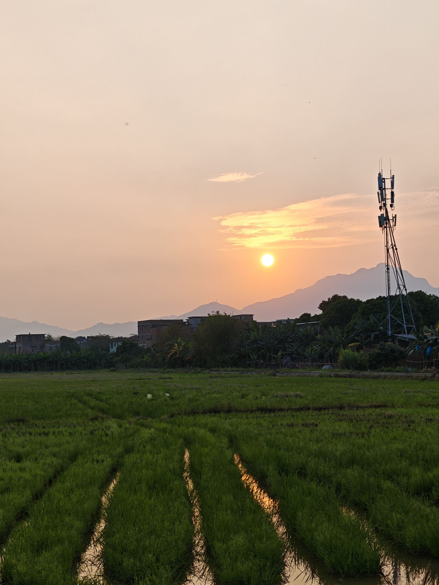 砚洲岛旅行图片 2
