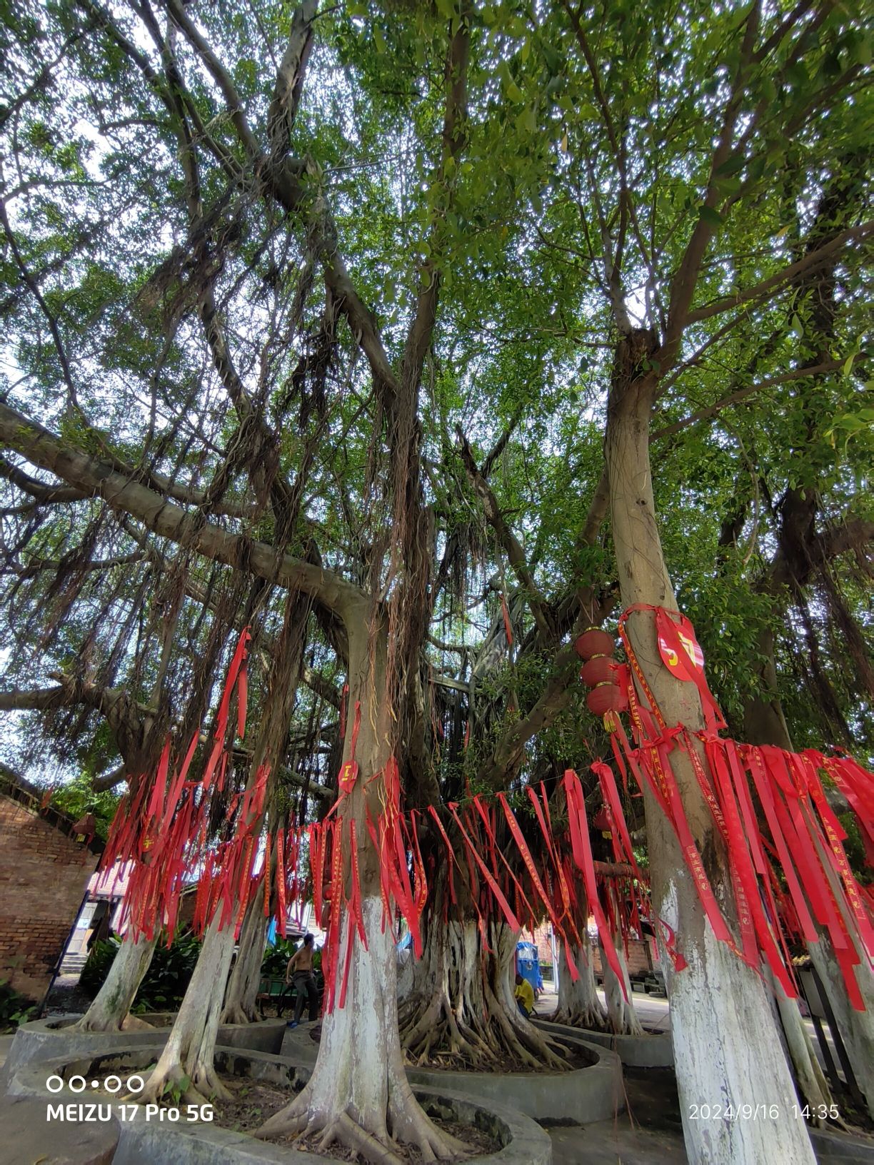 砚洲岛旅行图片 3