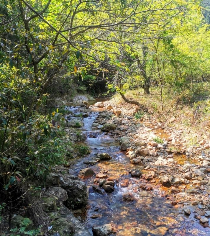 螺壳山森林公园旅行图片 2