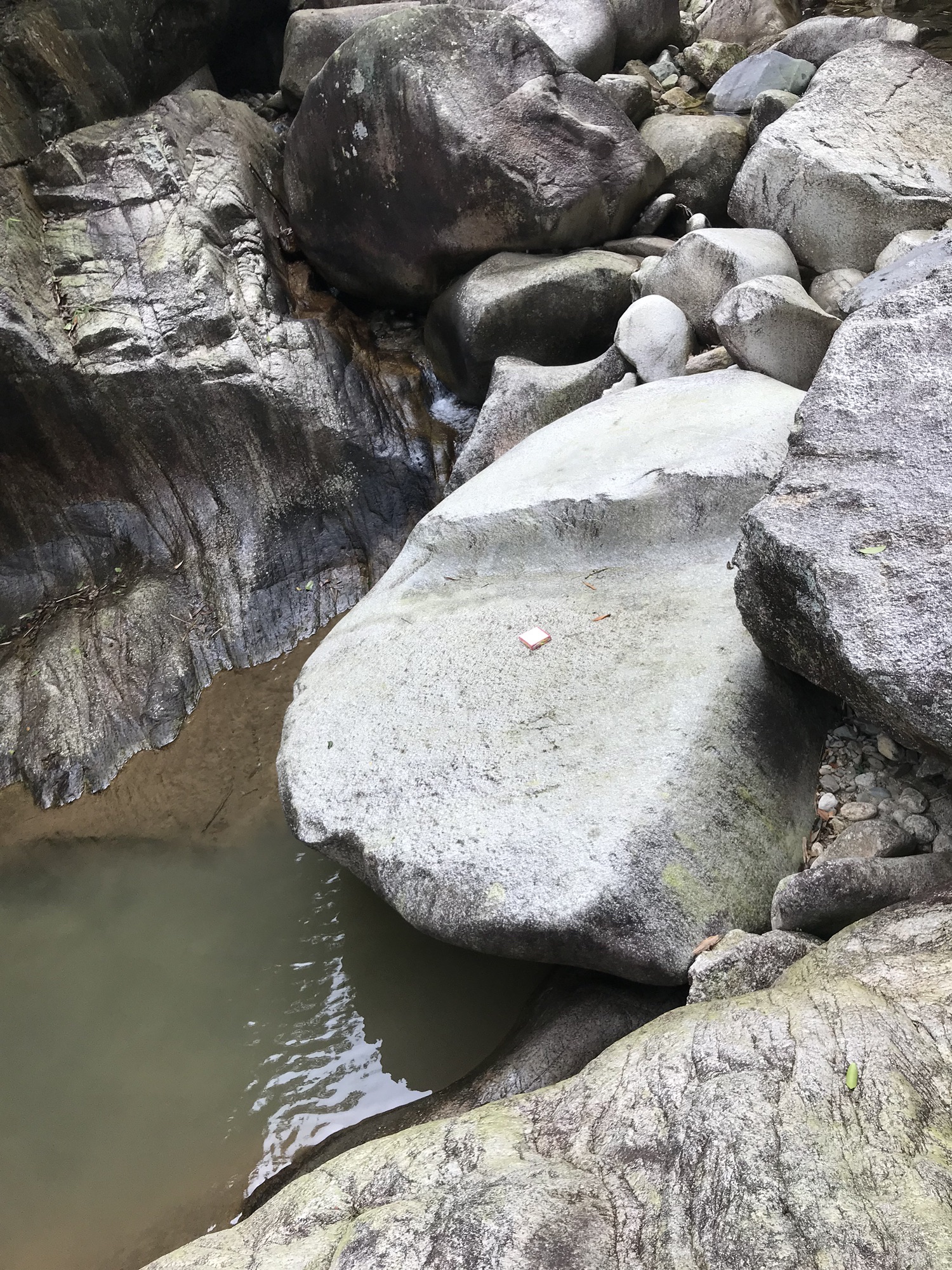 螺壳山森林公园旅行图片 3