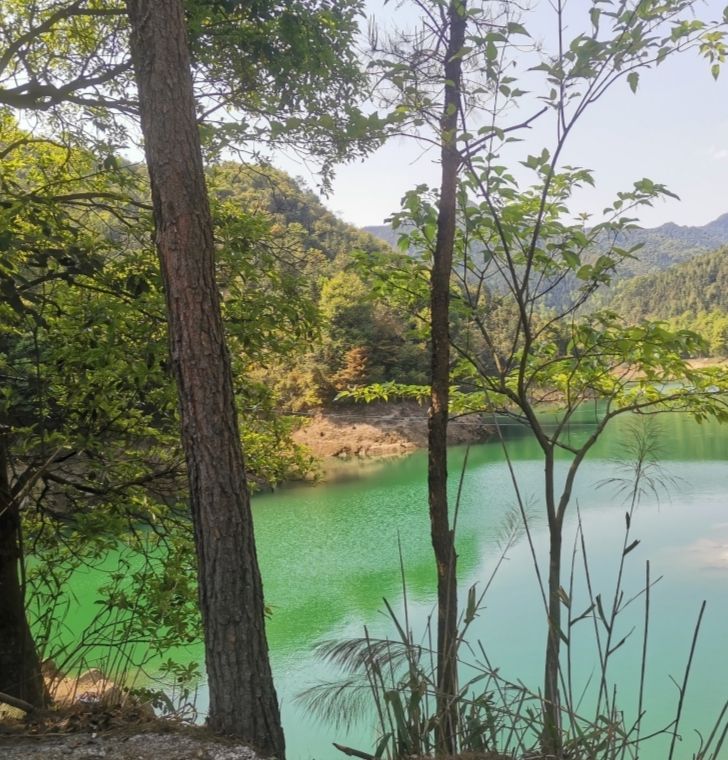 螺壳山森林公园旅行图片 3