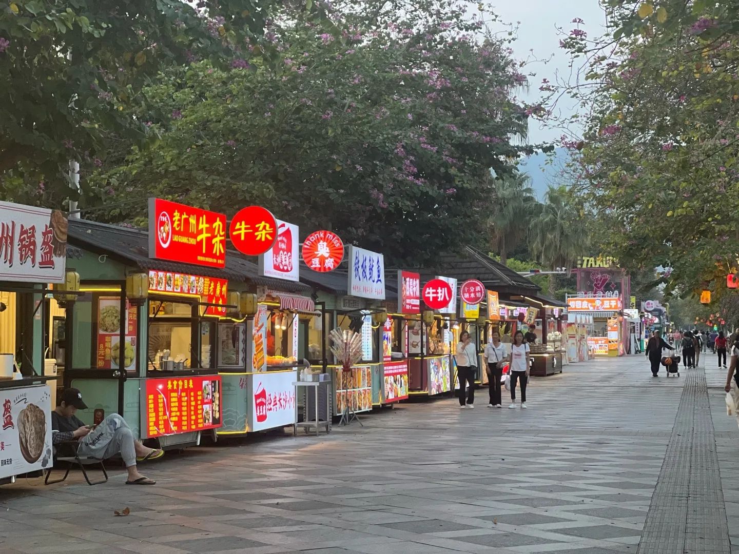 肇庆星湖风景名胜区旅行图片 3