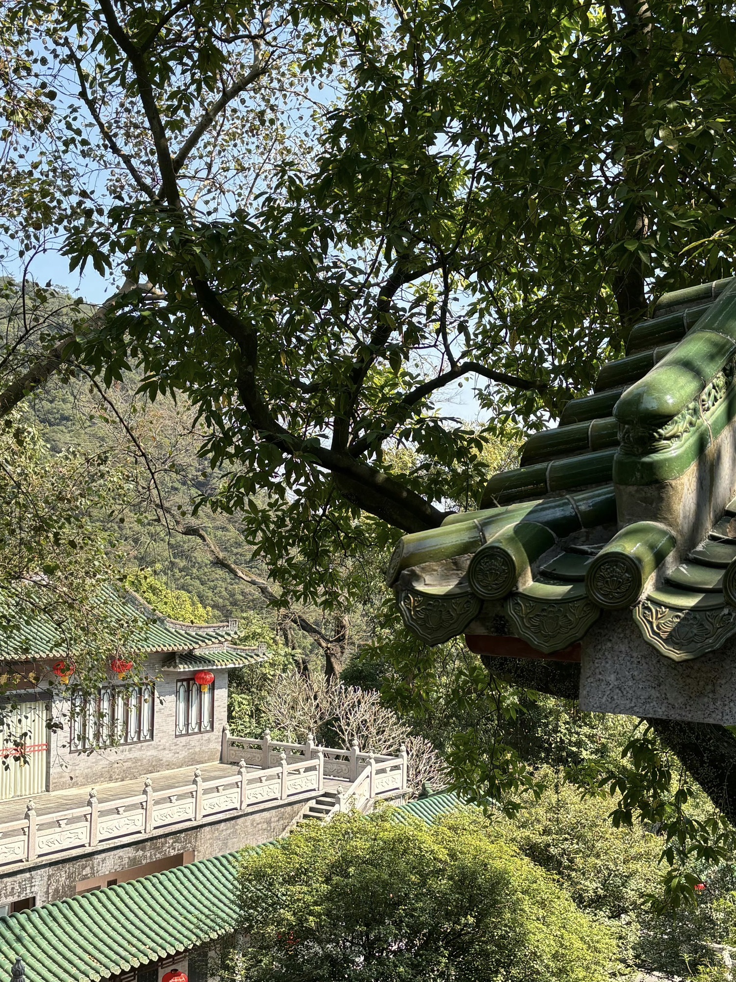 肇庆星湖风景名胜区旅行图片 2