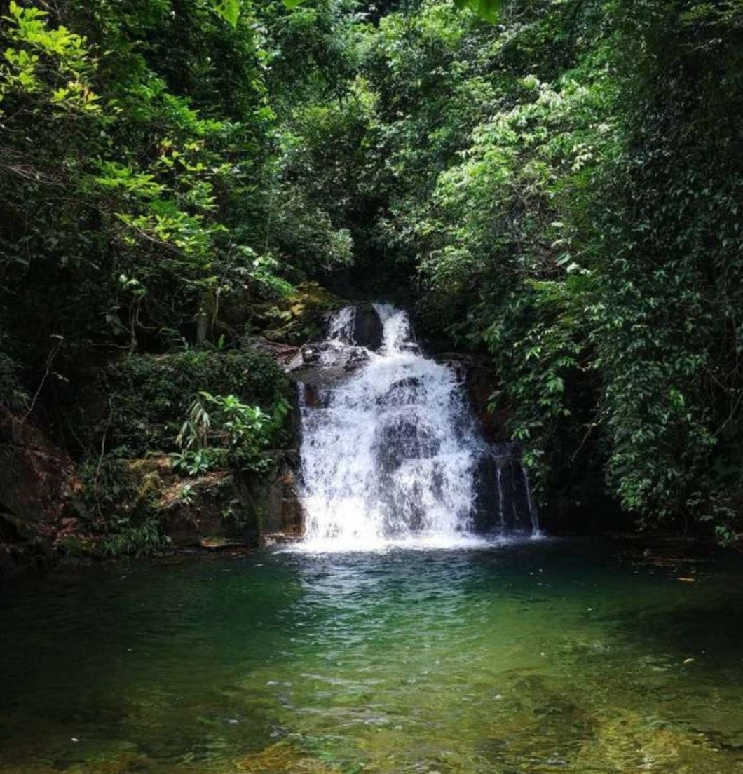 鼎湖山牌坊旅行图片 3