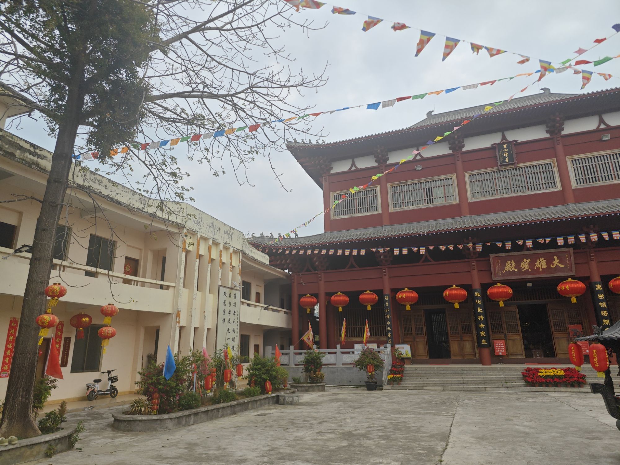 天心禅寺旅行图片 1