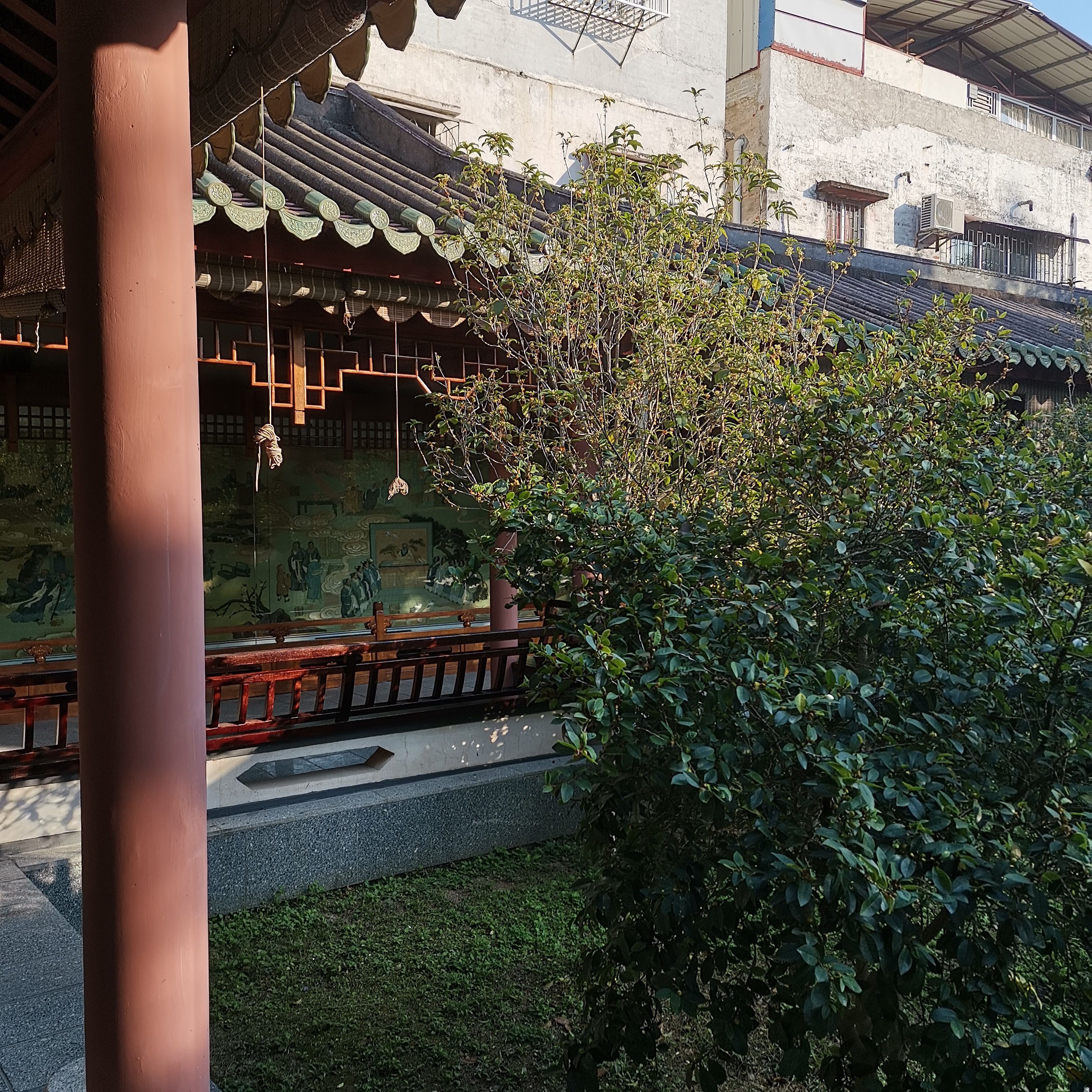 德庆学宫旅行图片 2