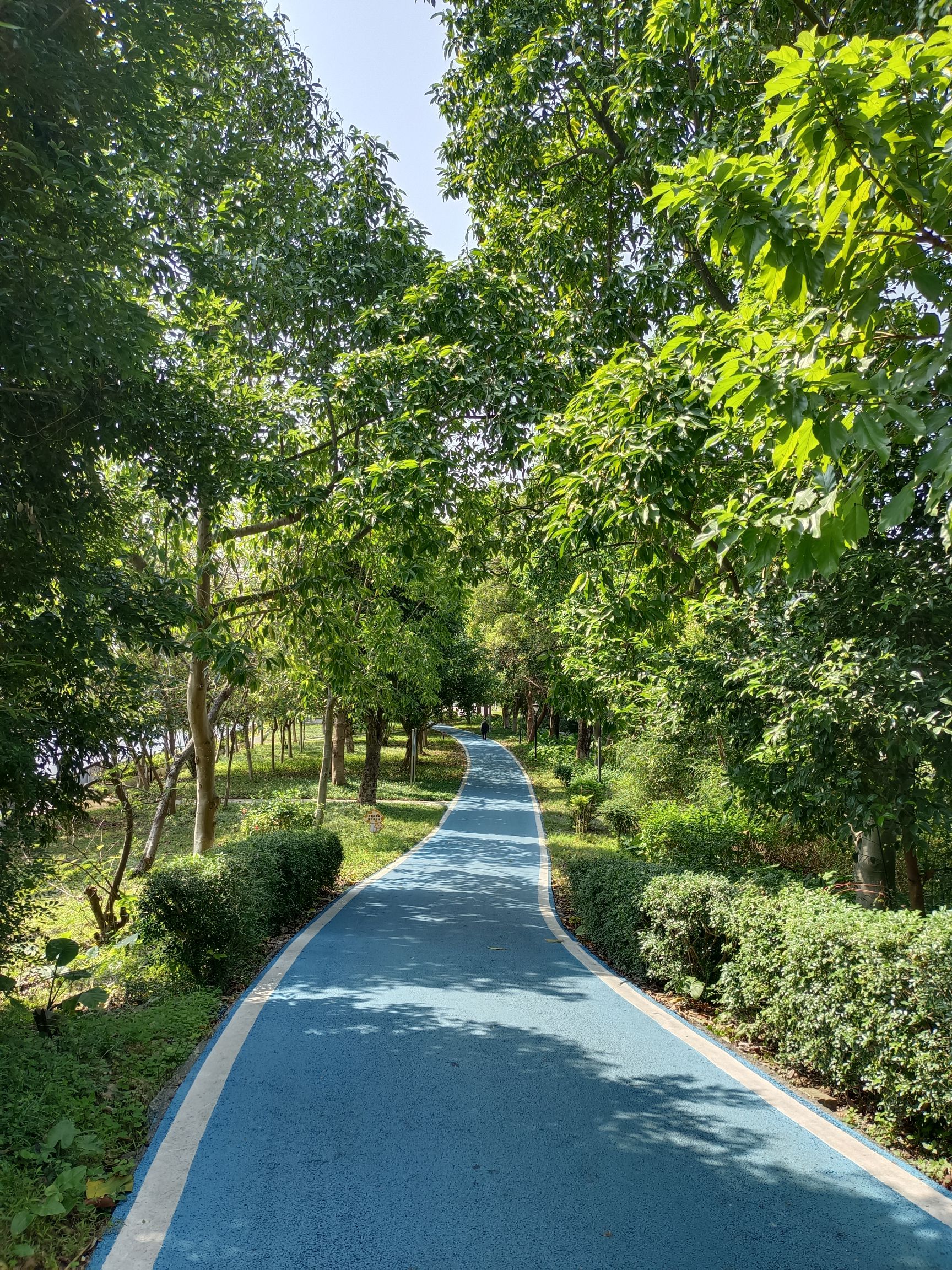 碧莲湖公园旅行图片 3