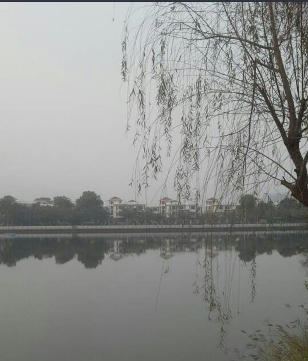 碧莲湖公园旅行图片 3