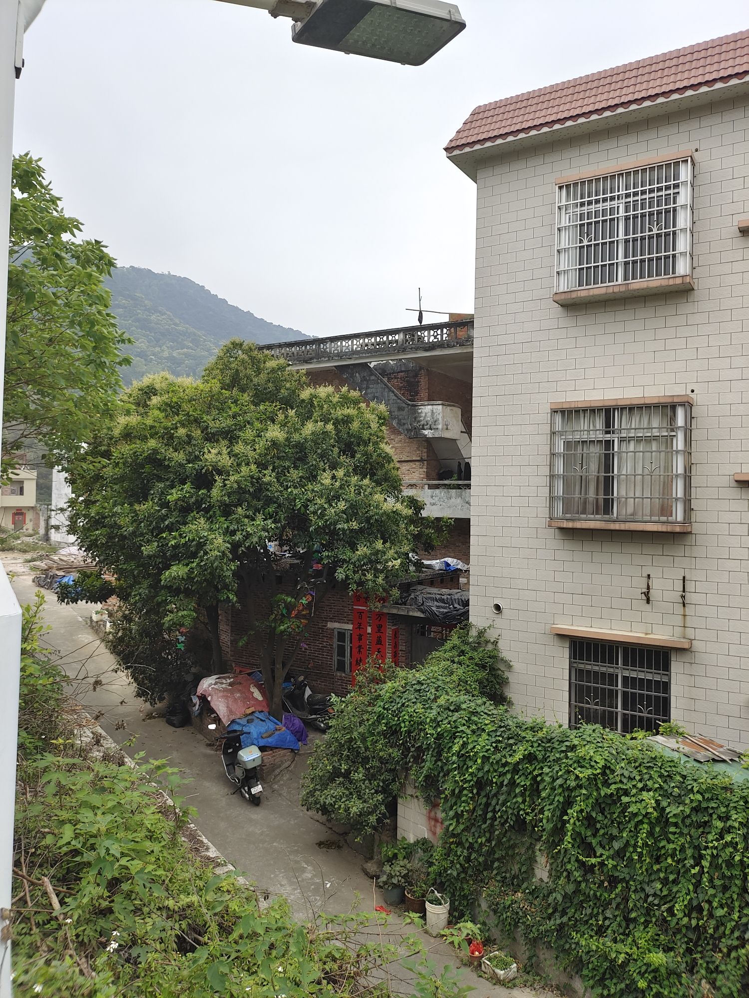 黄村文化广场旅行图片 3