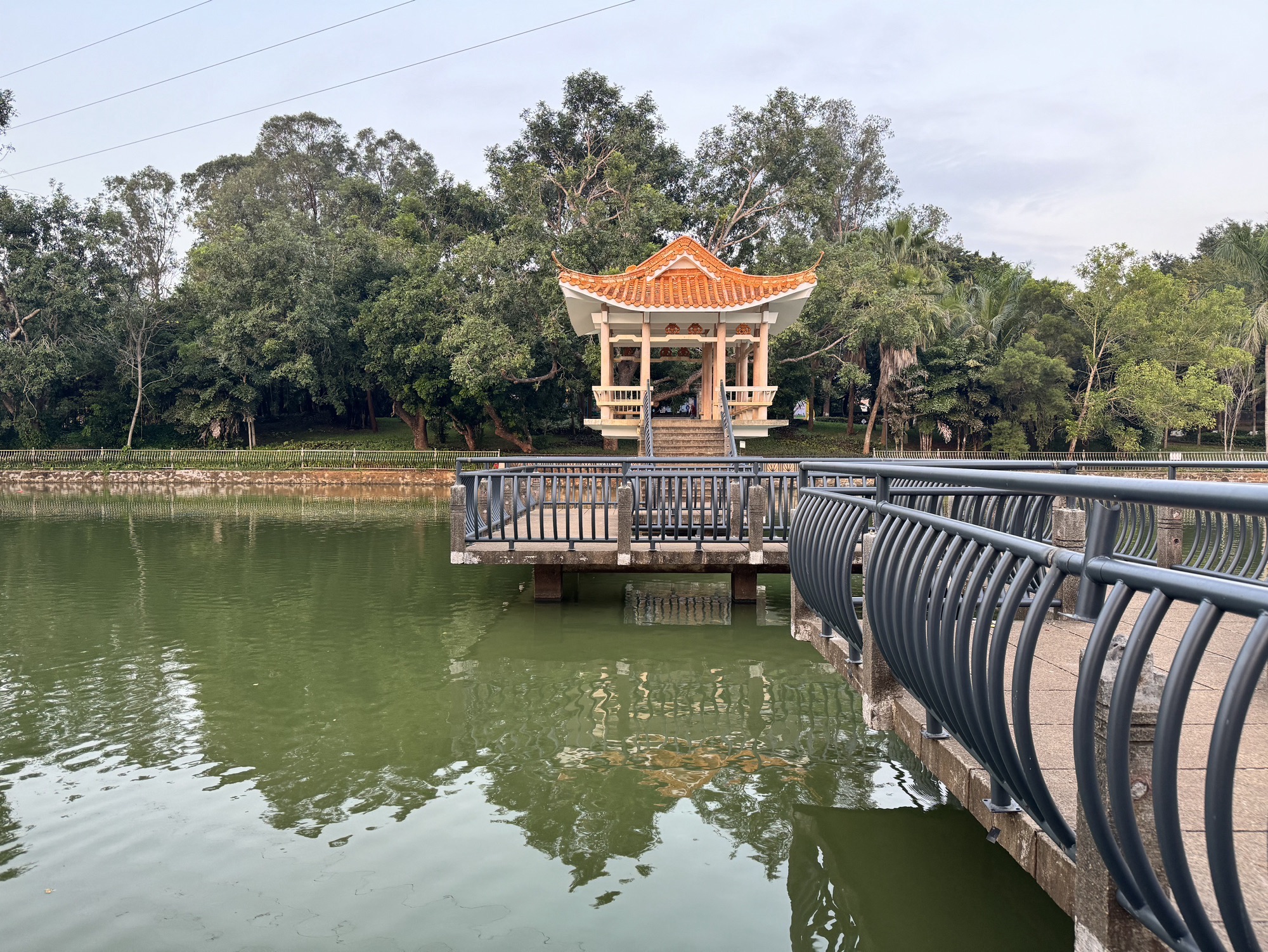 徐闻人民公园旅行图片 3