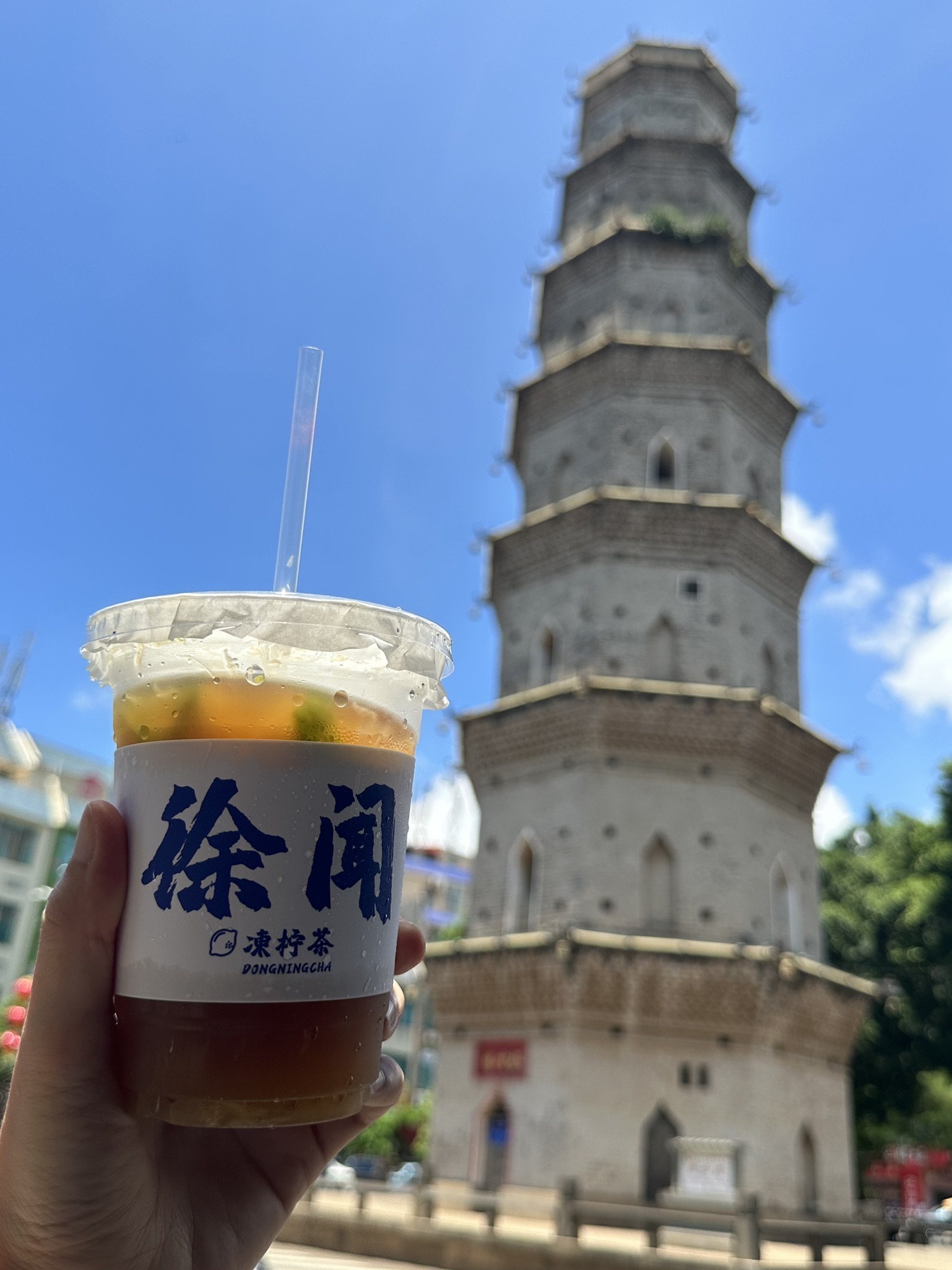 登云塔旅行图片 1