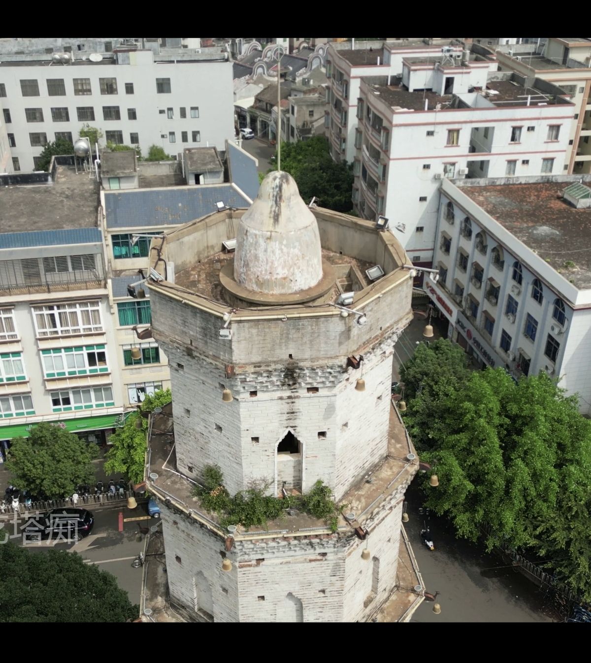 登云塔旅行图片 3