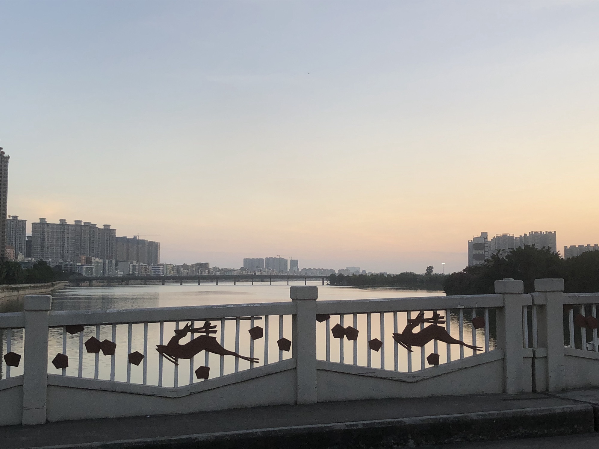 江心岛旅行图片 2