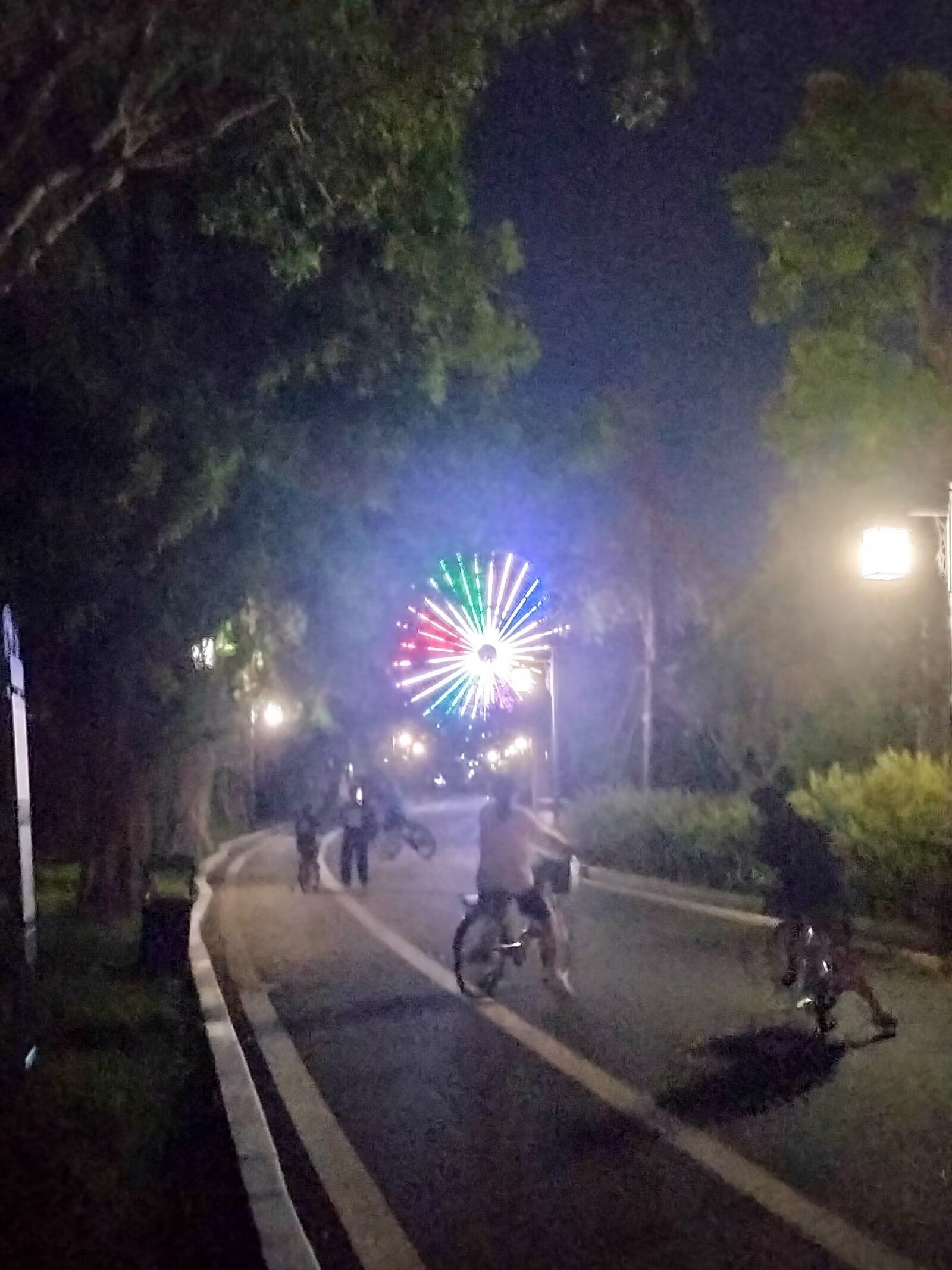 江心岛旅行图片 2