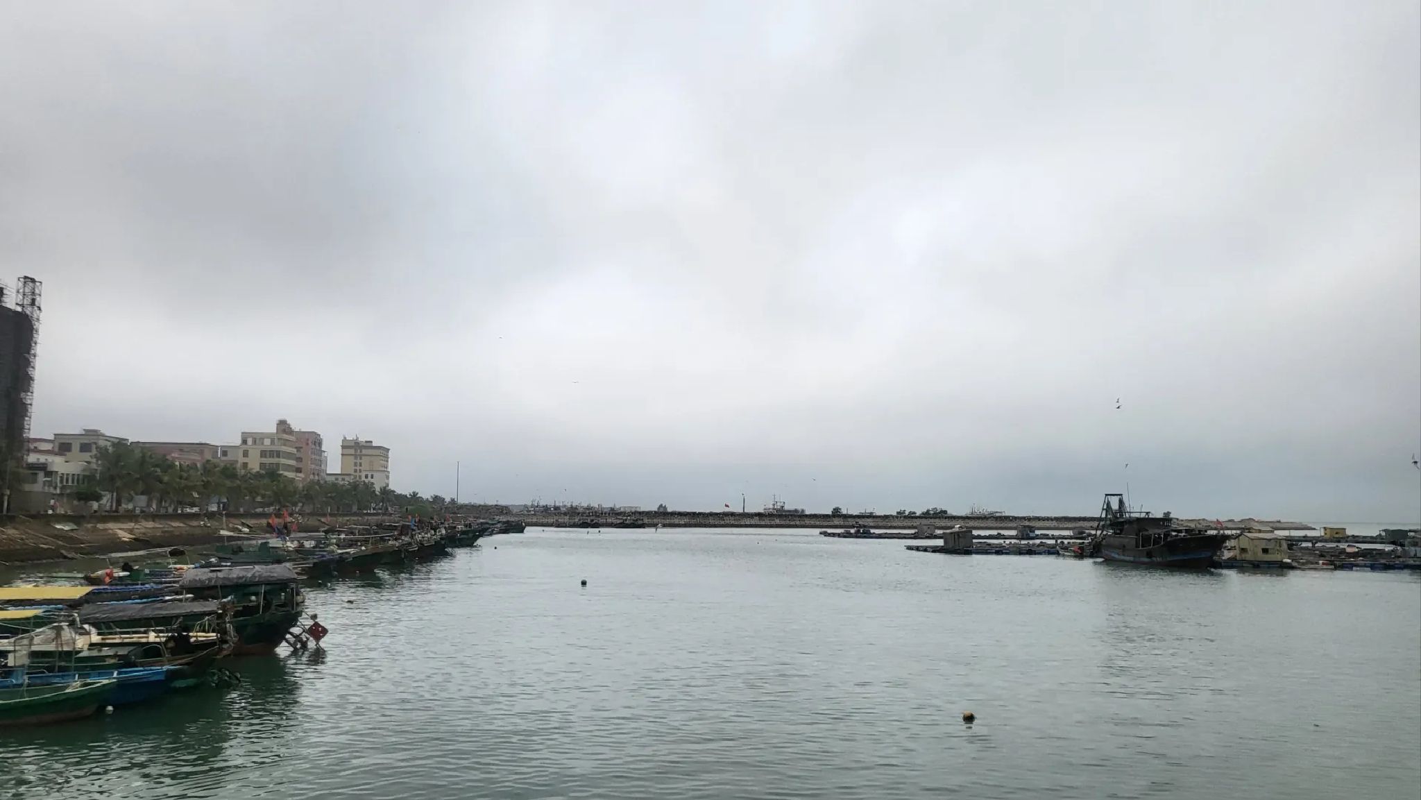 硇洲岛旅游区旅行图片 1