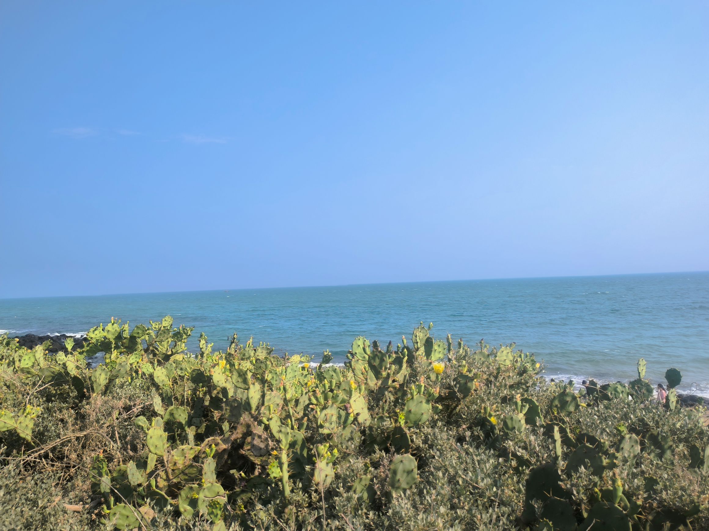 硇洲岛旅游区旅行图片 3