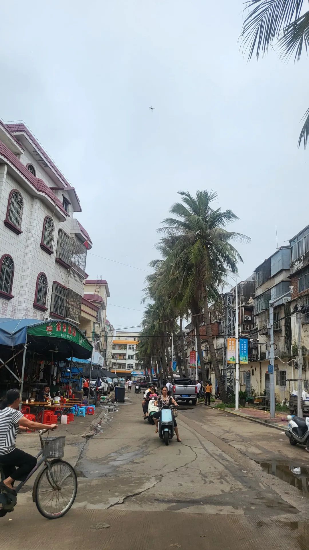 硇洲岛旅游区旅行图片 3