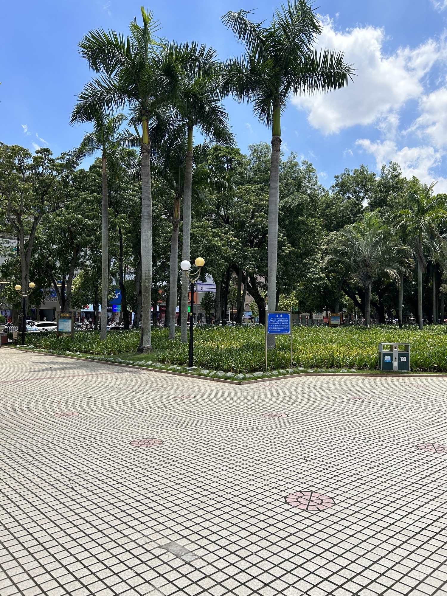 人民广场旅行图片 3