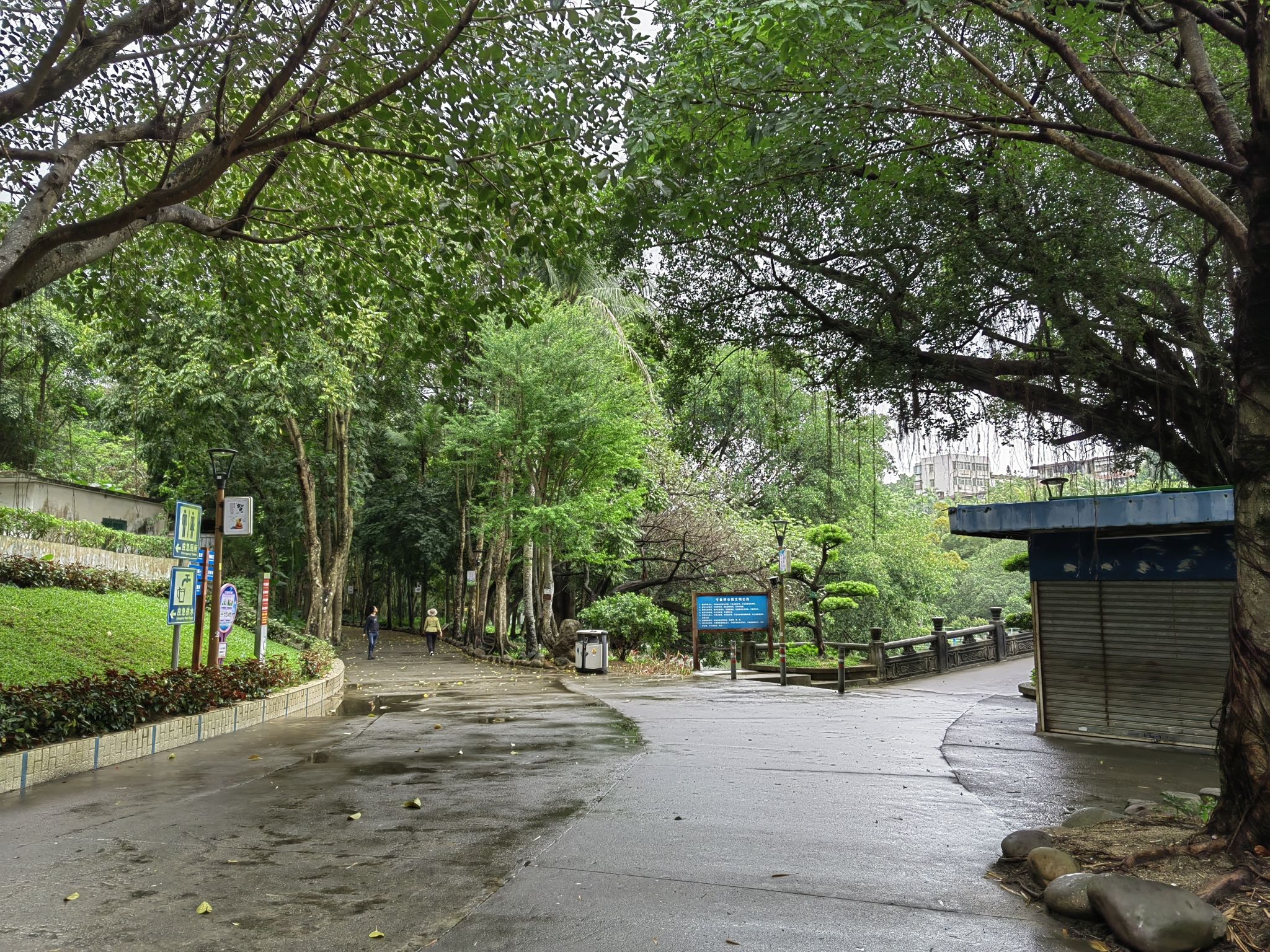 寸金桥公园旅行图片 1