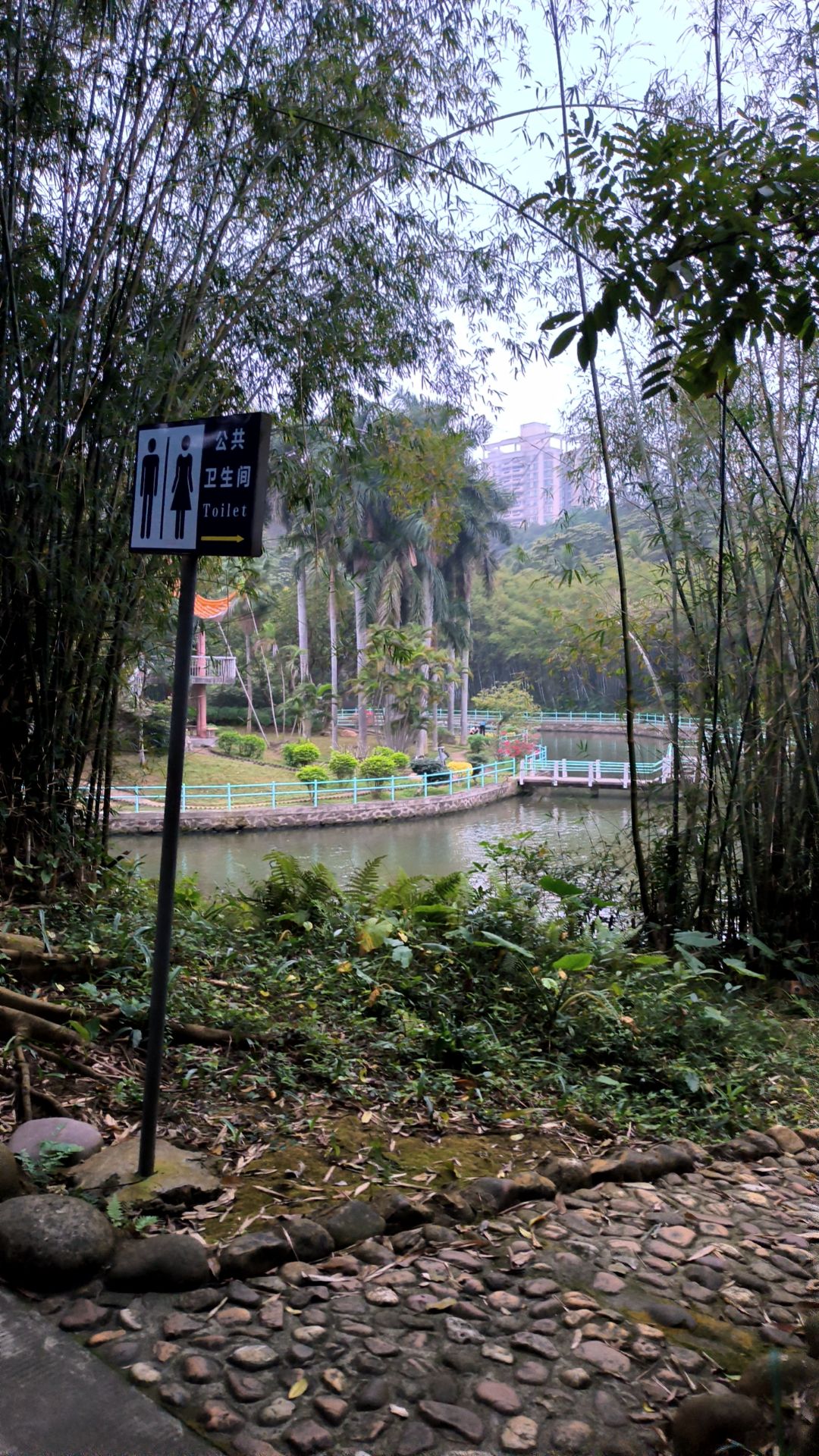 寸金桥公园旅行图片 3