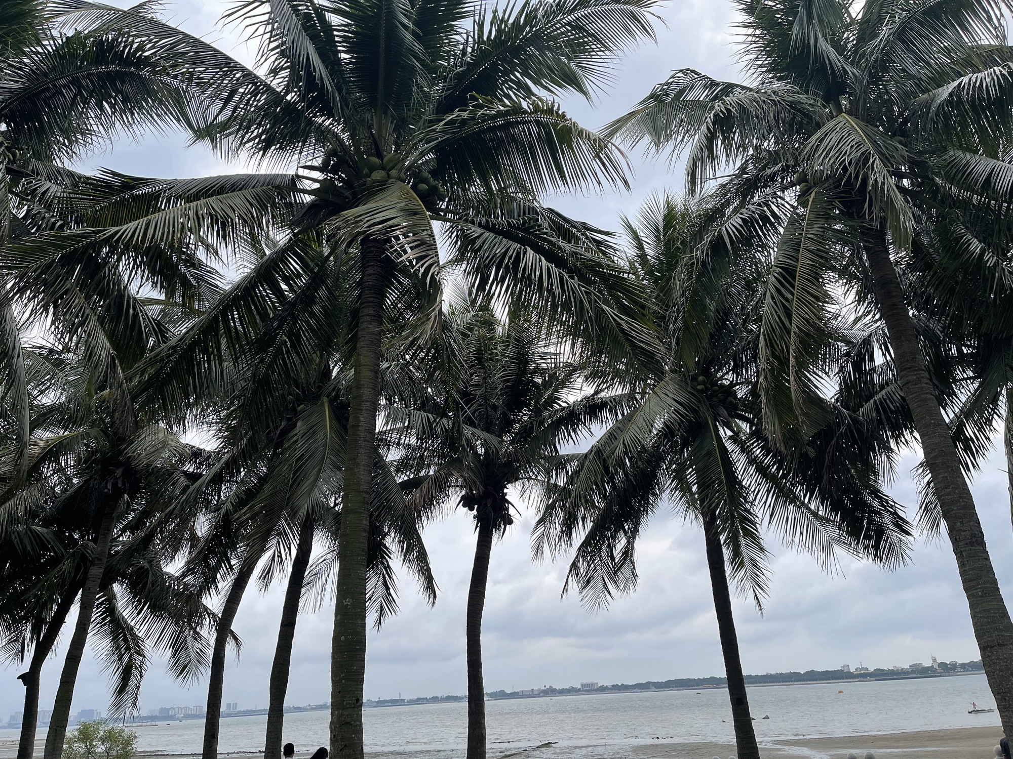 海滨公园旅行图片 2