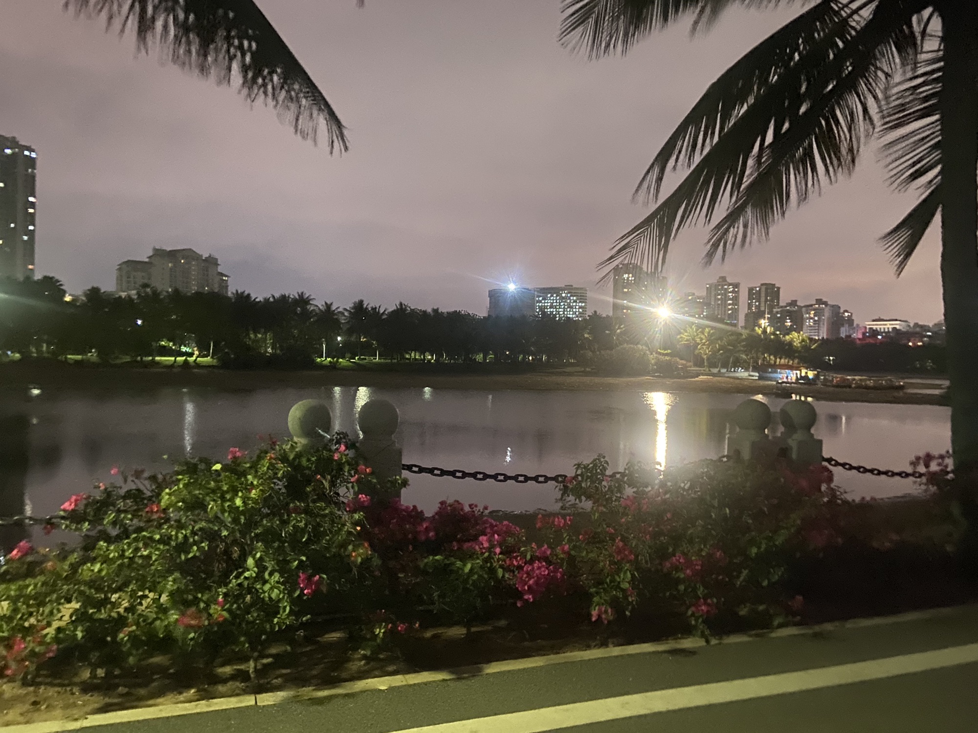 海滨公园旅行图片 3
