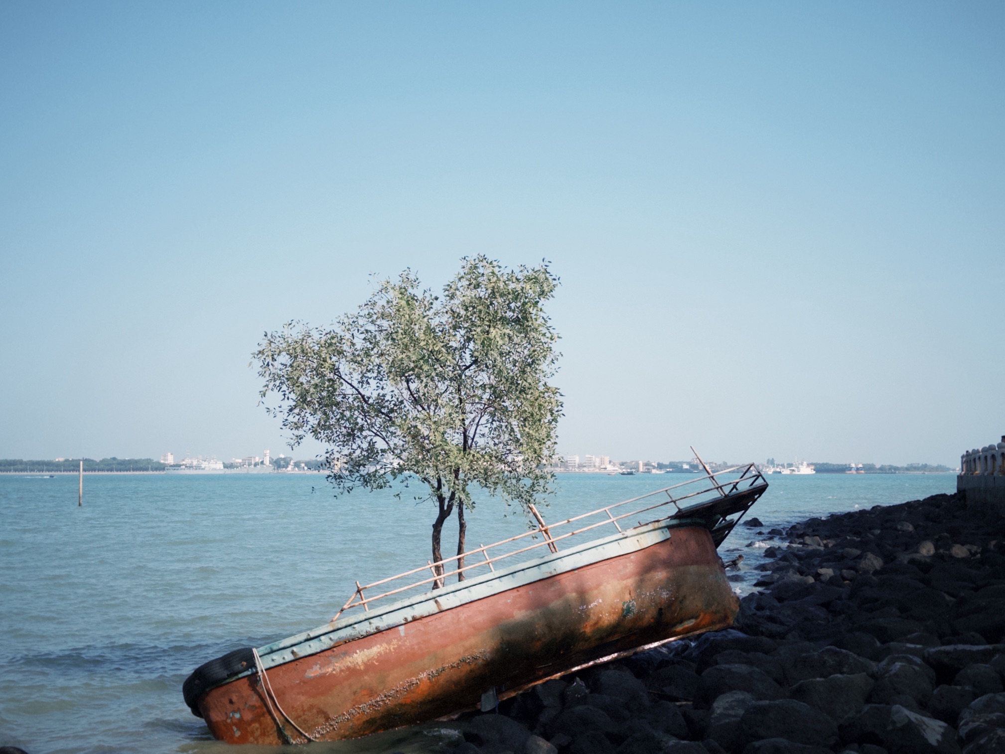海滨公园旅行图片 1