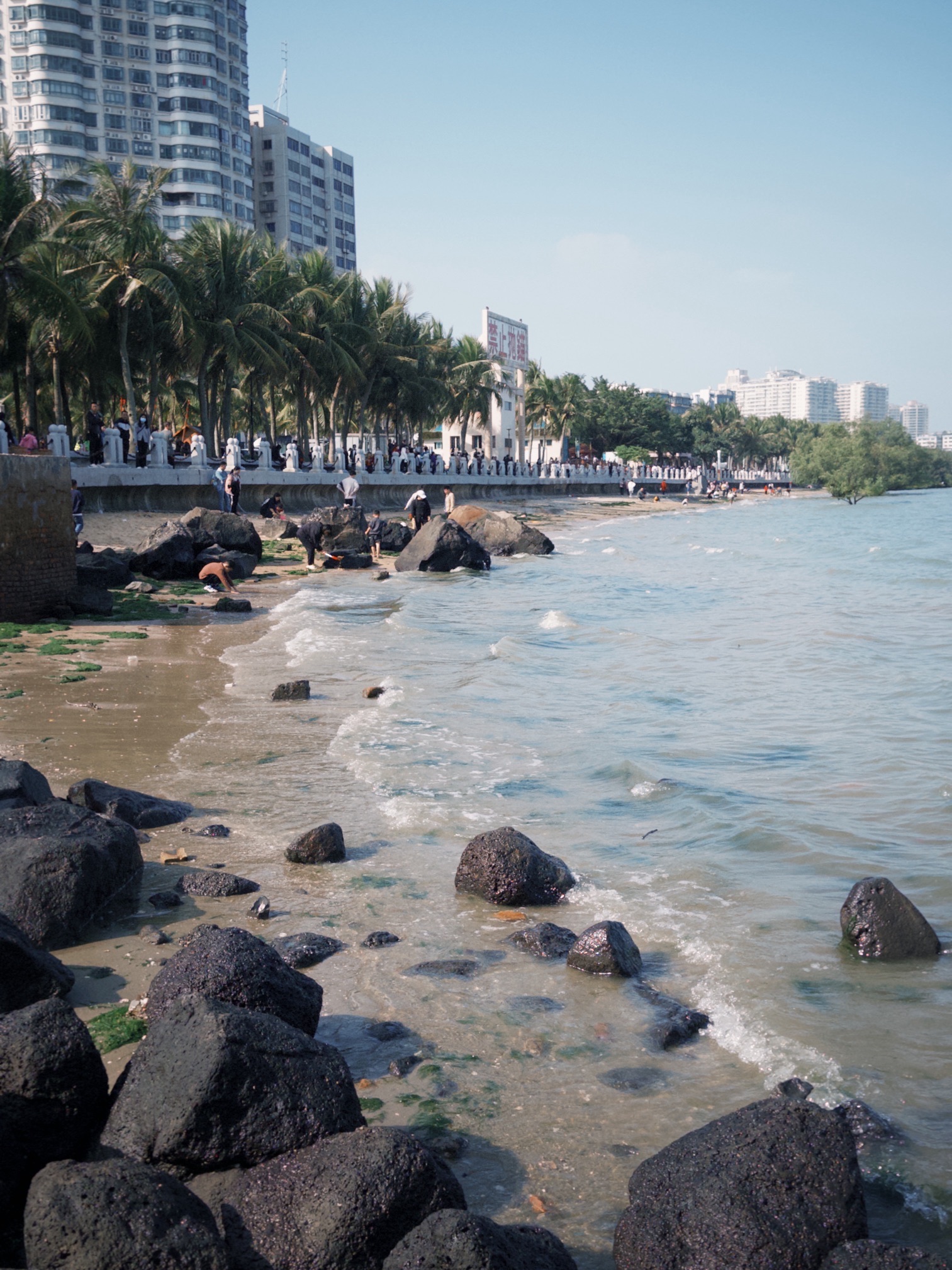 海滨公园旅行图片 2