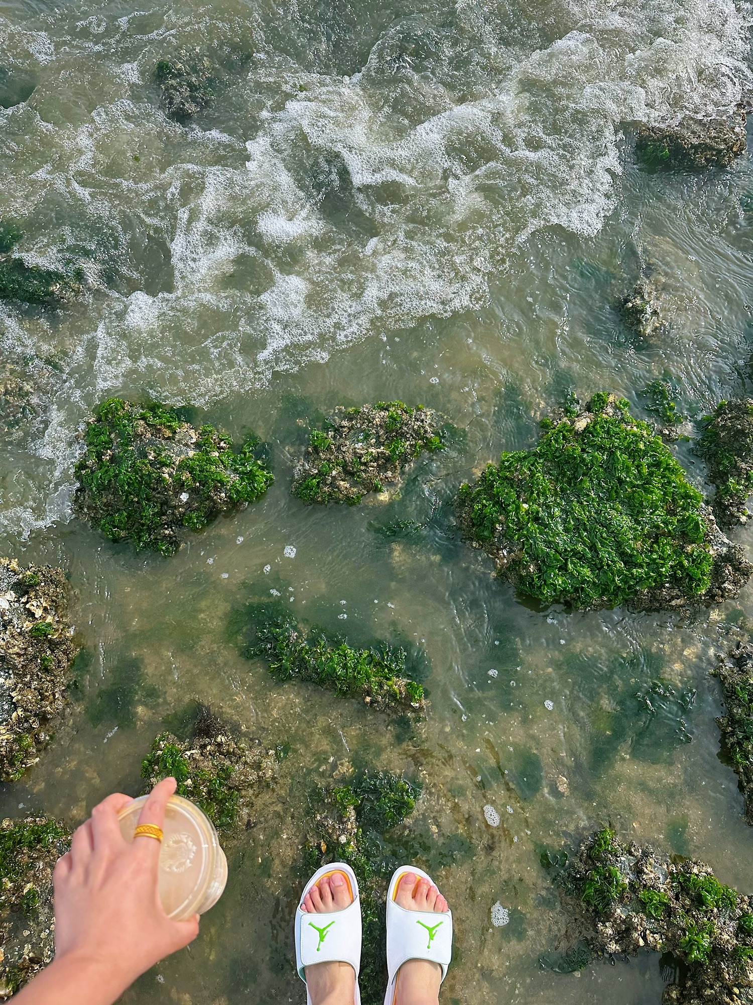 海滨公园旅行图片 1
