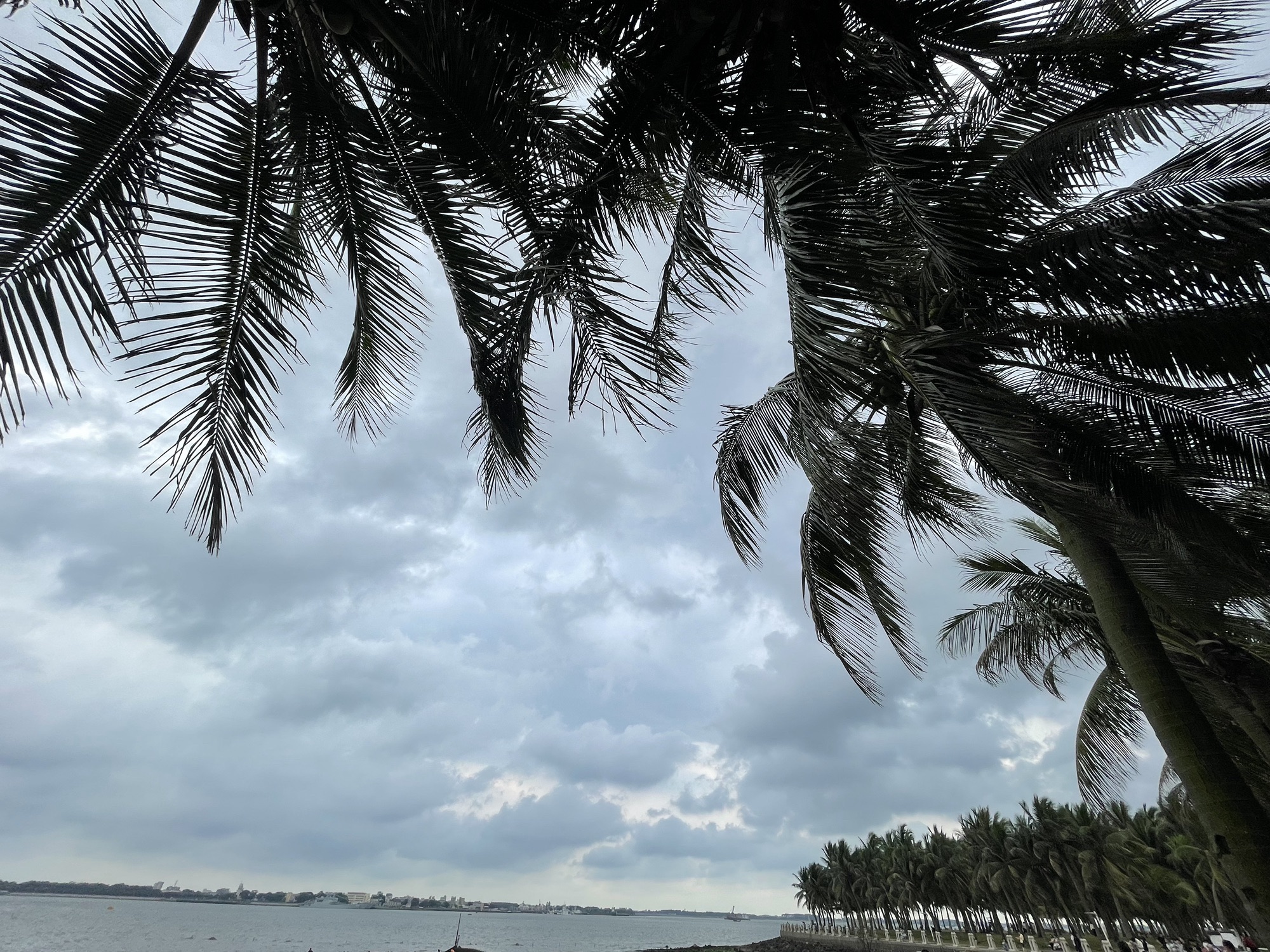 海滨公园旅行图片 3