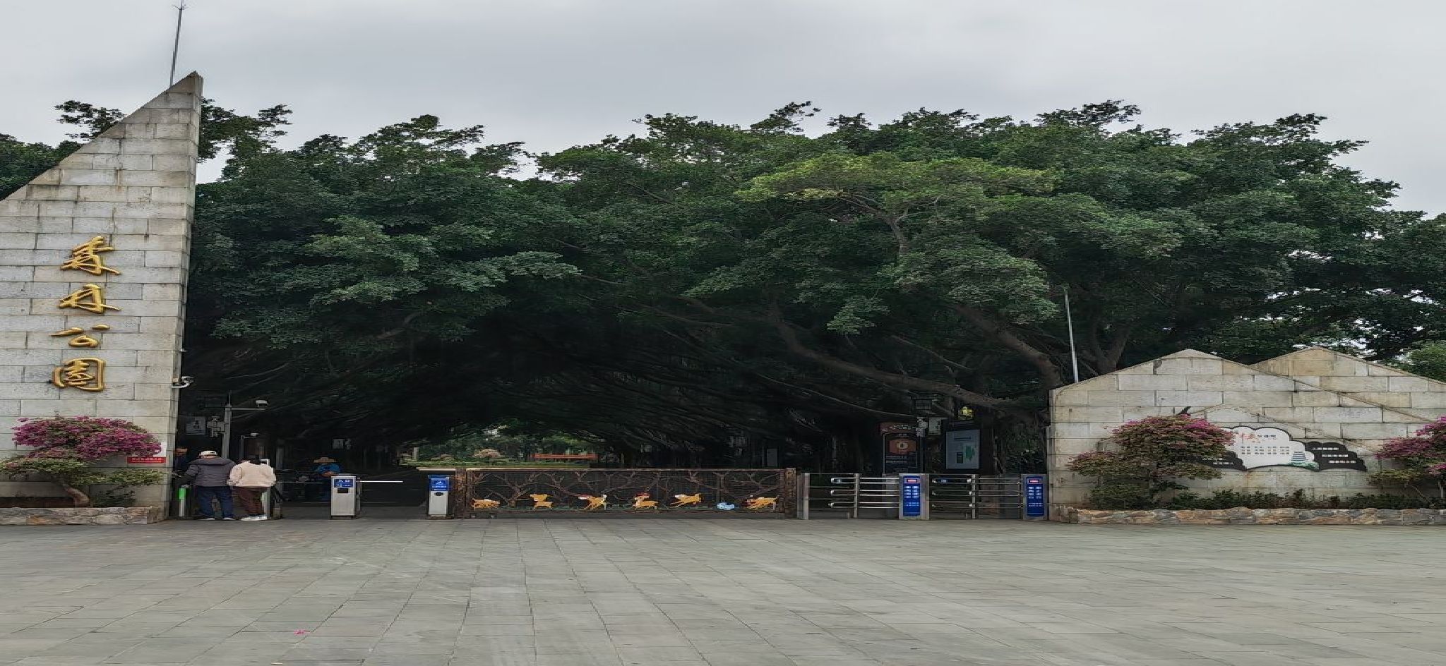 湛江市森林公园旅行图片 1