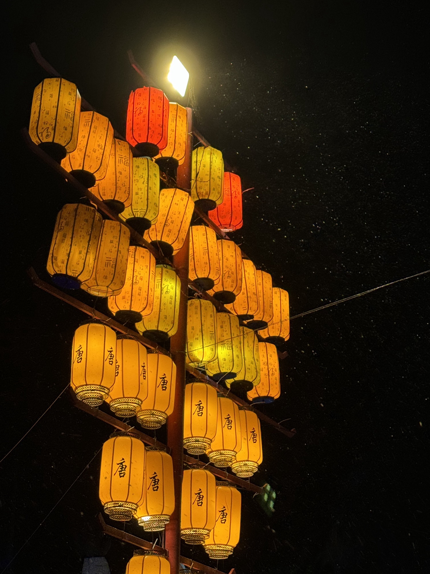 湛江市森林公园旅行图片 3