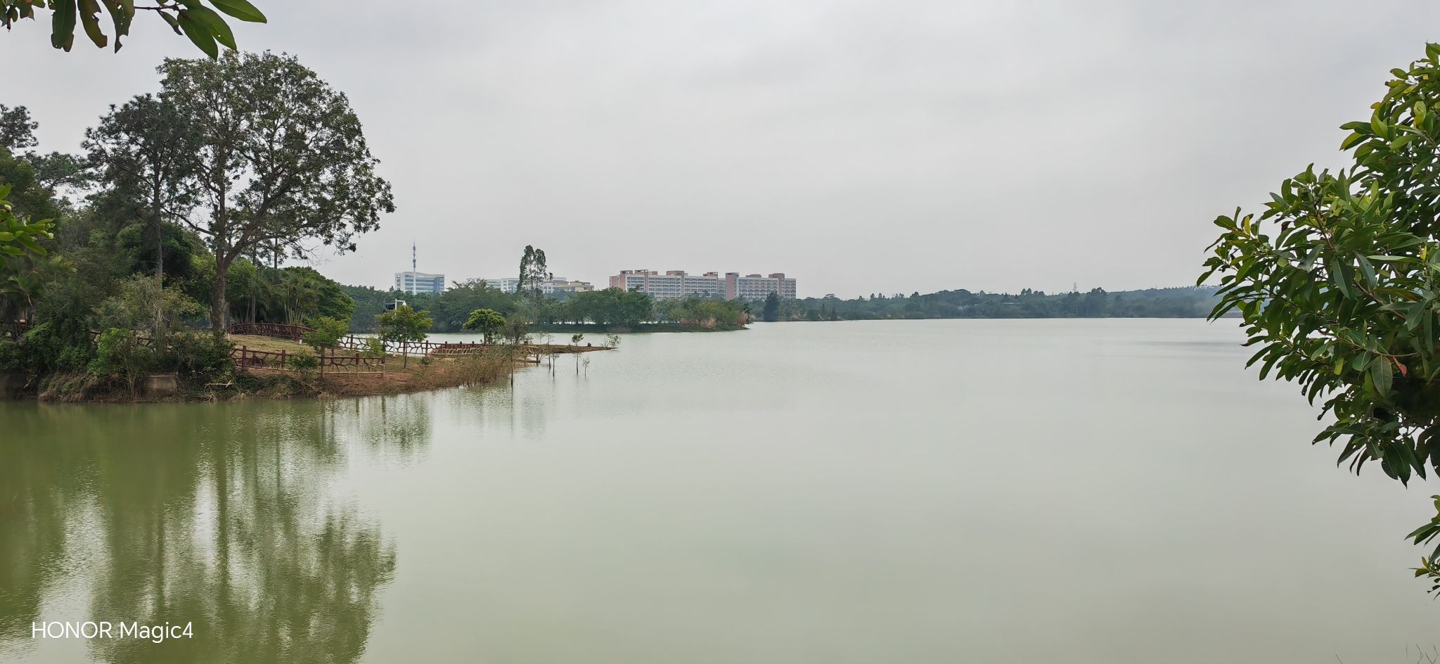 湛江市森林公园旅行图片 3