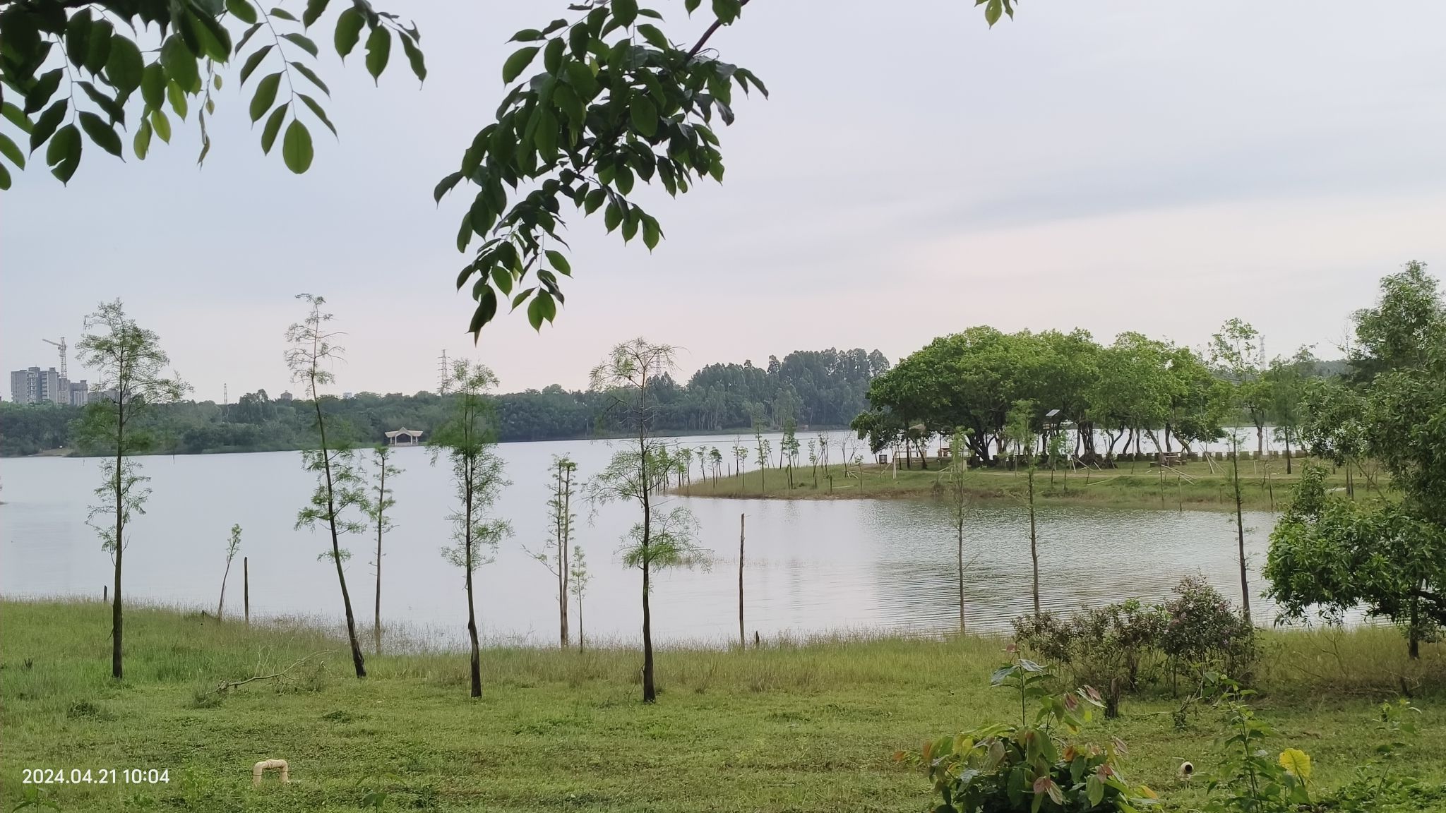 湛江市森林公园旅行图片 1