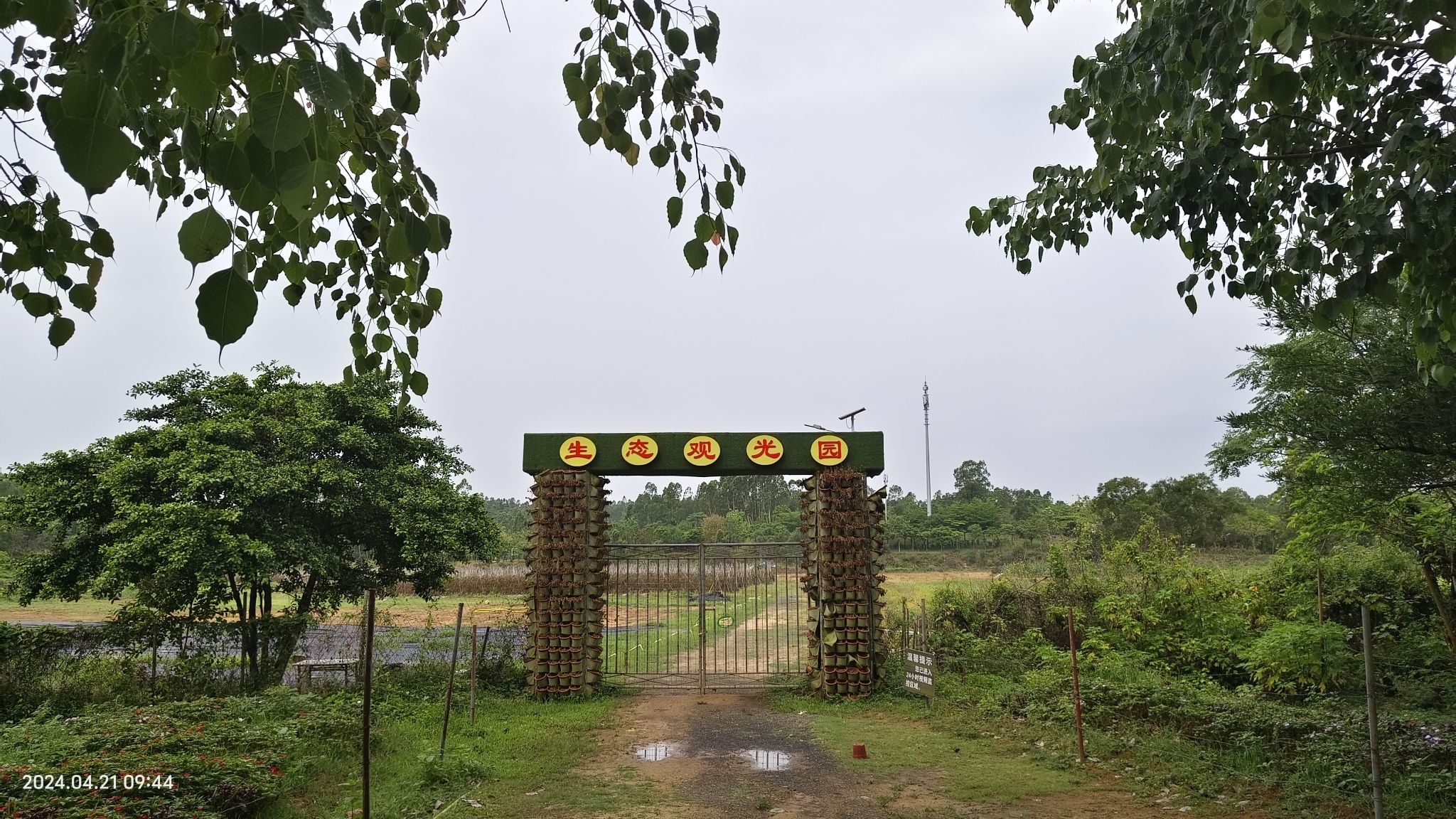 湛江市森林公园旅行图片 3