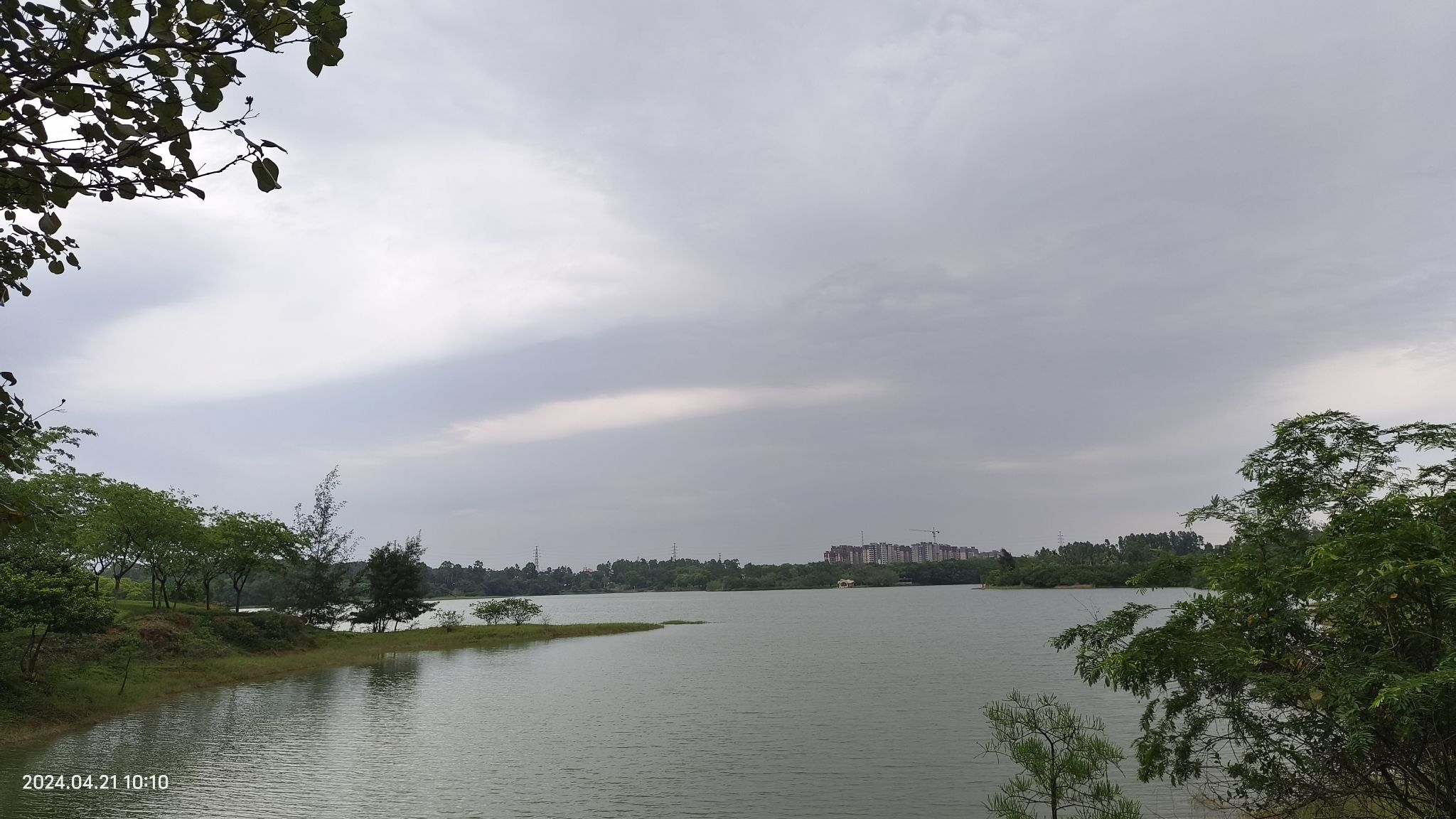 湛江市森林公园旅行图片 2