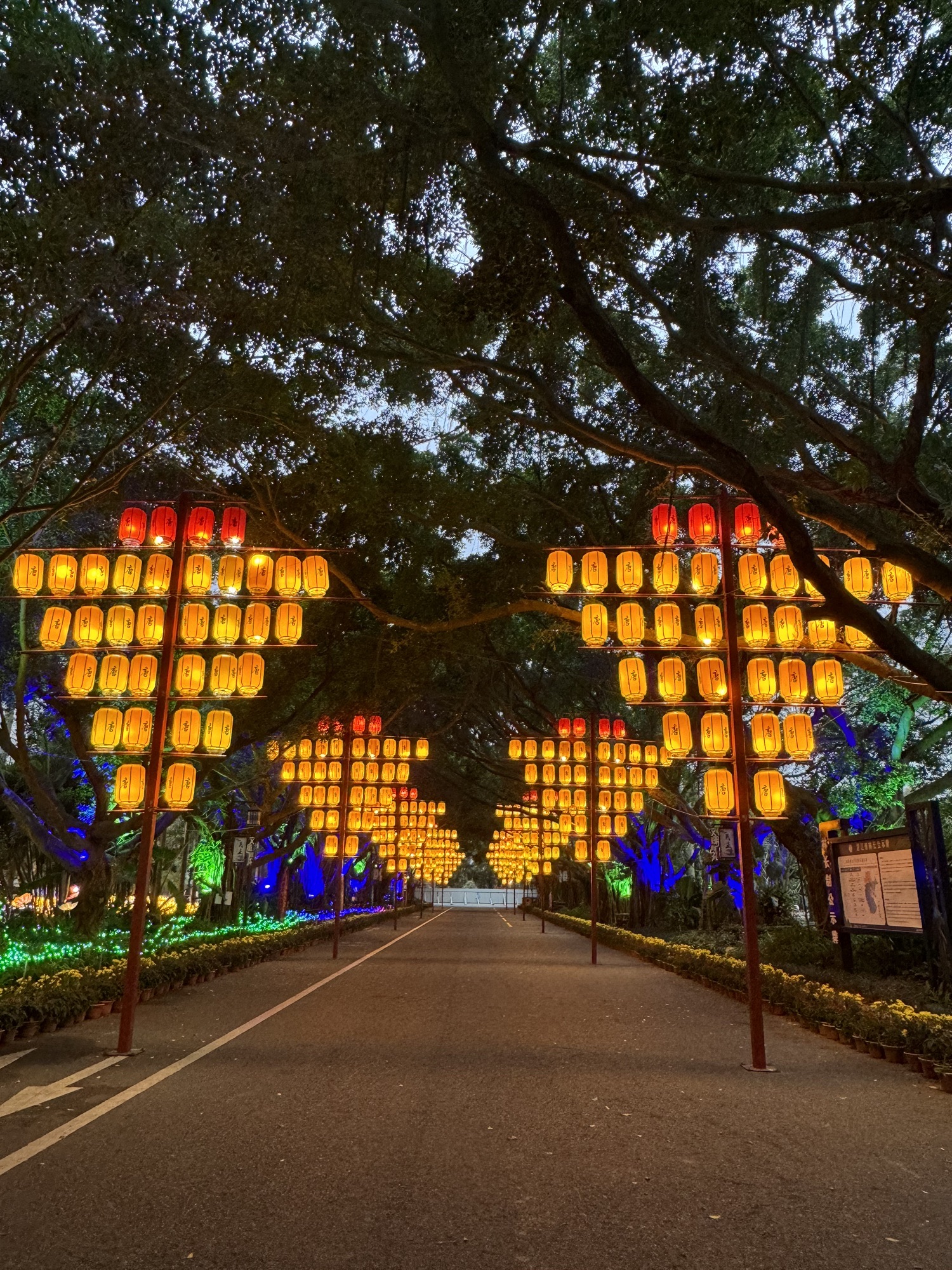 湛江市森林公园旅行图片 2