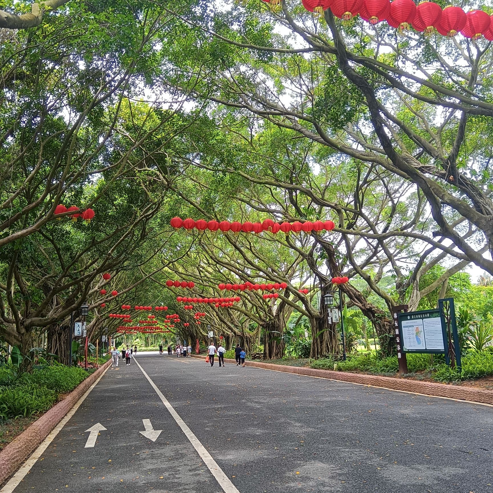 湛江市森林公园