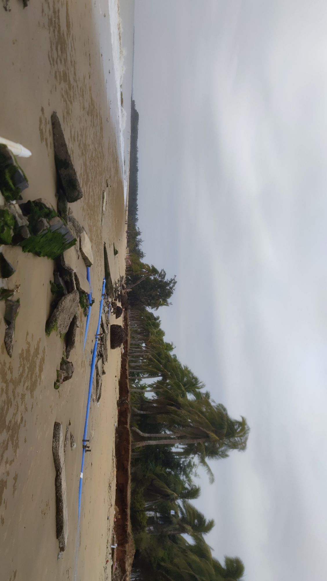 白沙湾海上浴场旅行图片 3