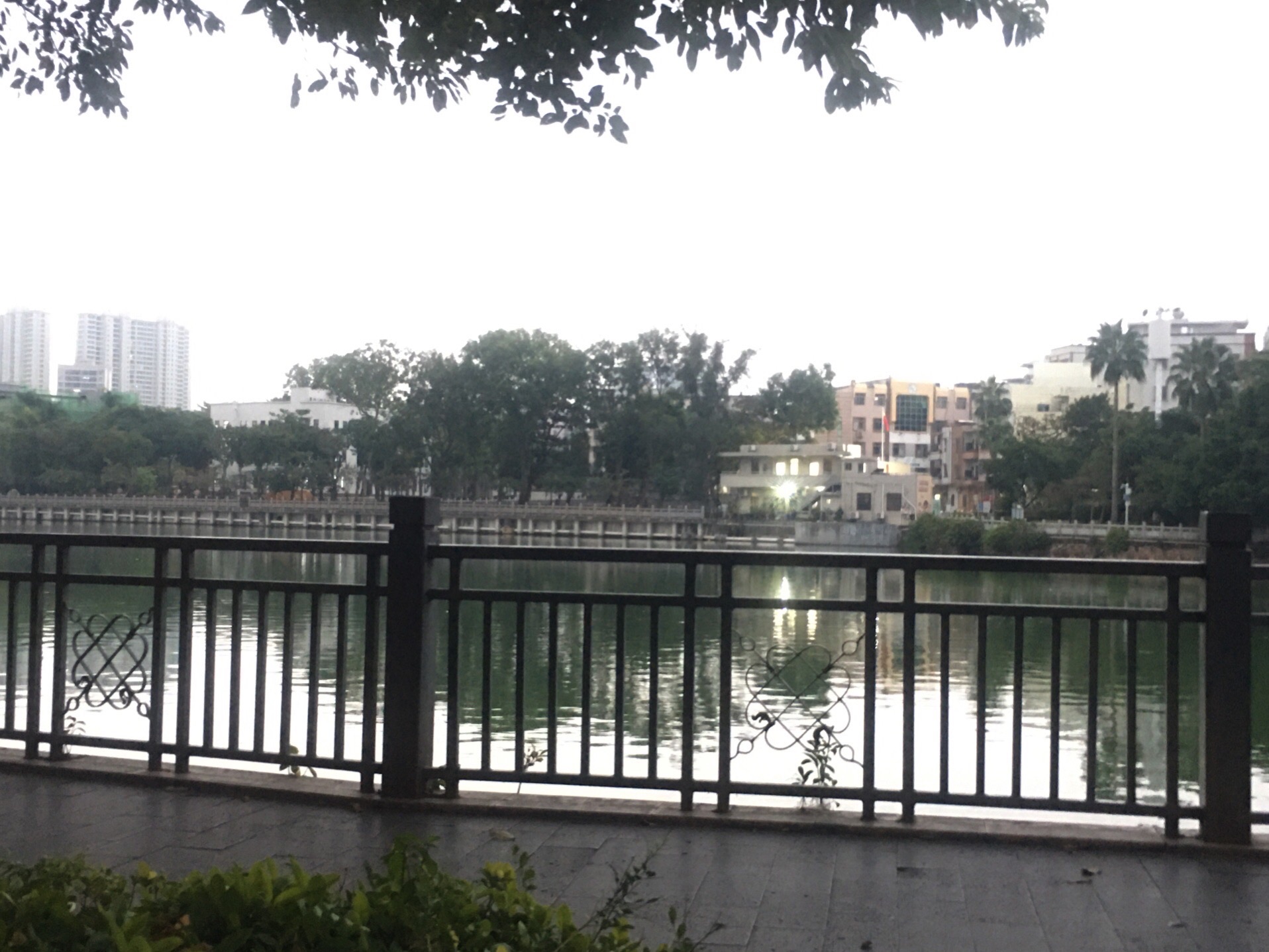 大塘公园旅行图片 2