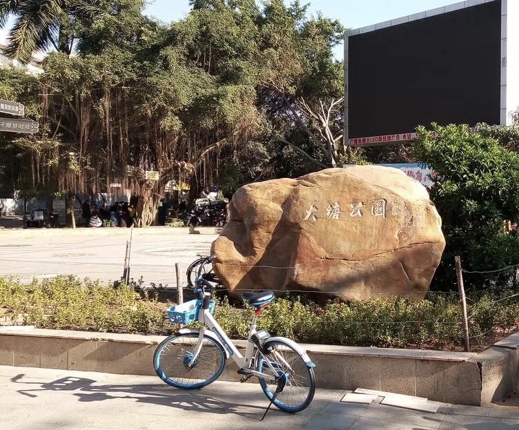 大塘公园旅行图片 3