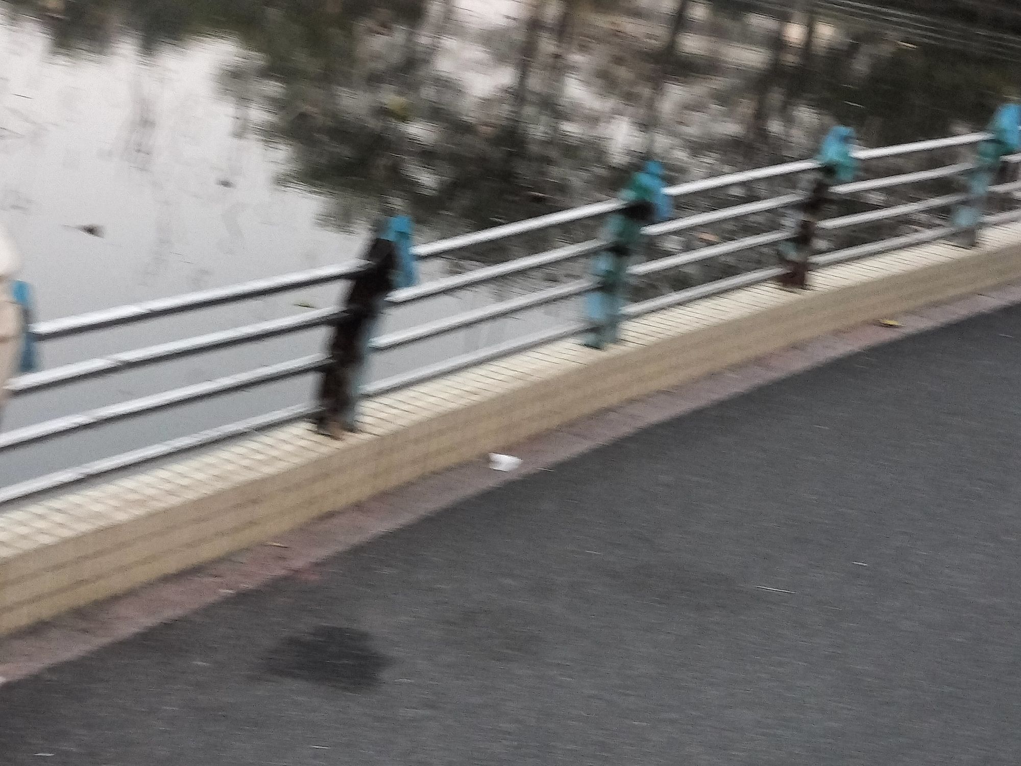 大塘公园旅行图片 1