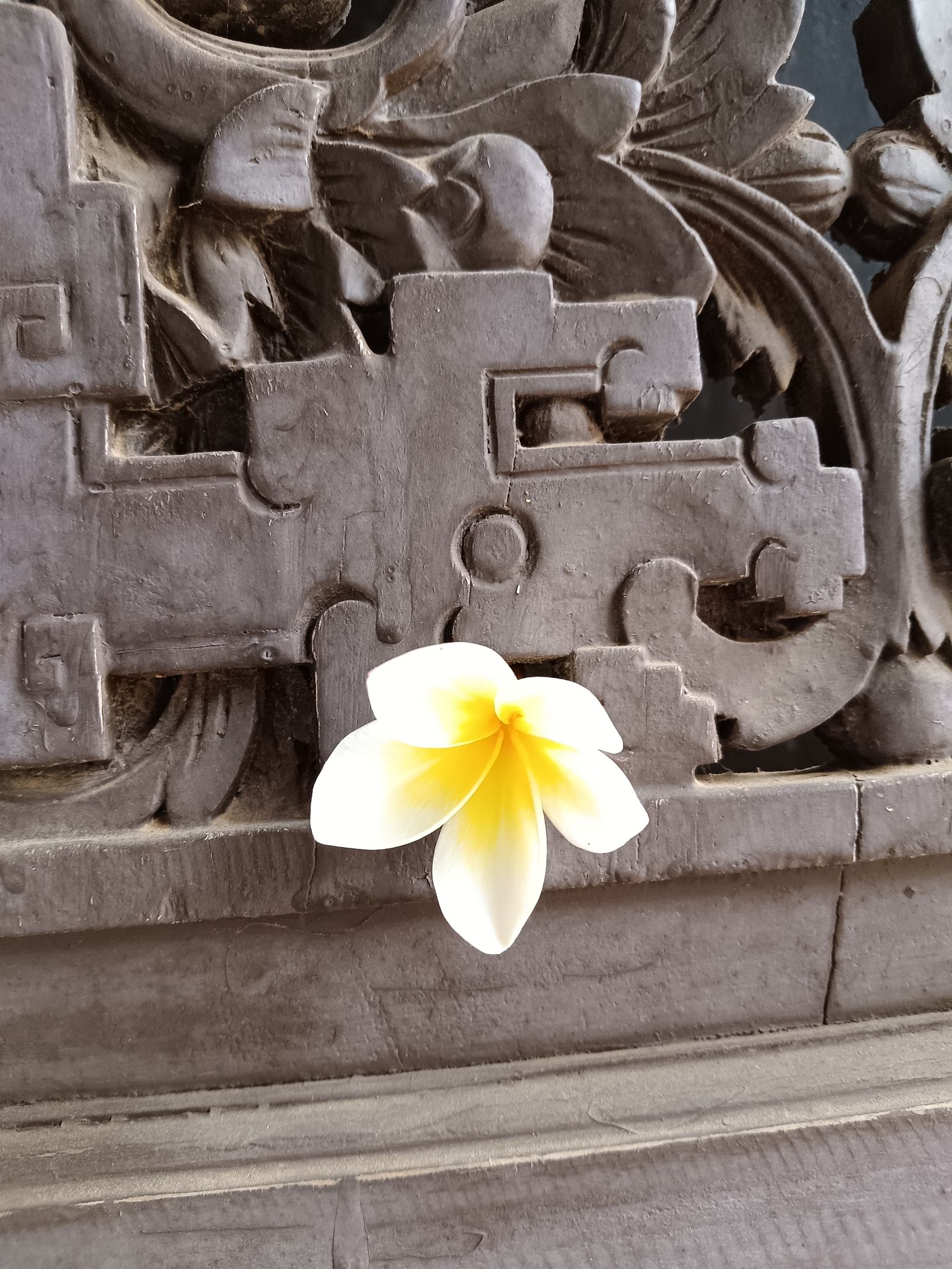 贵生书院旅行图片 3
