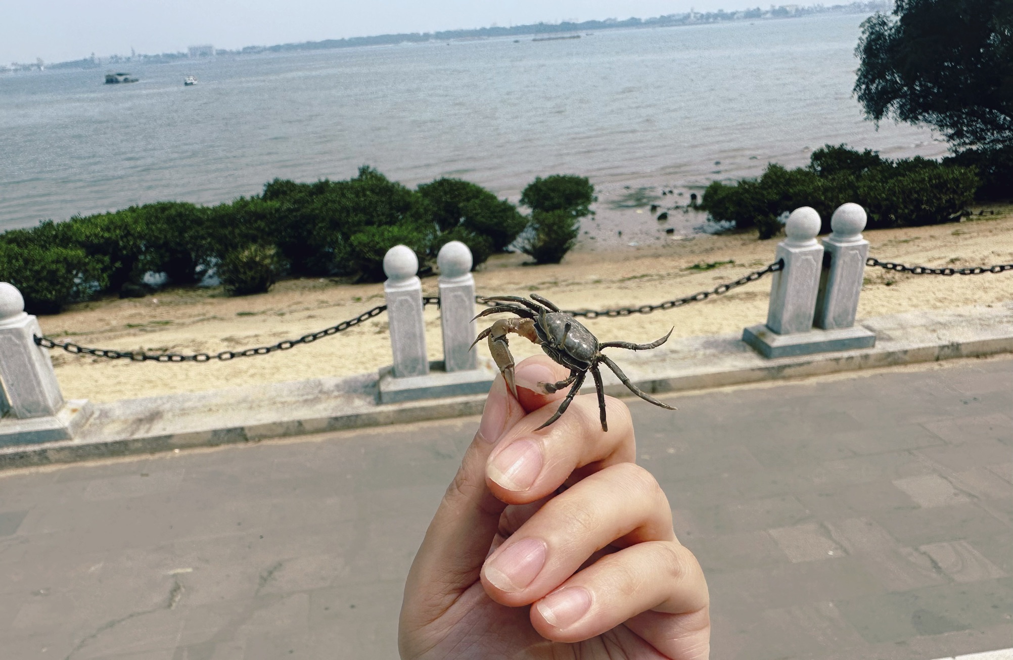 渔港公园旅行图片 2