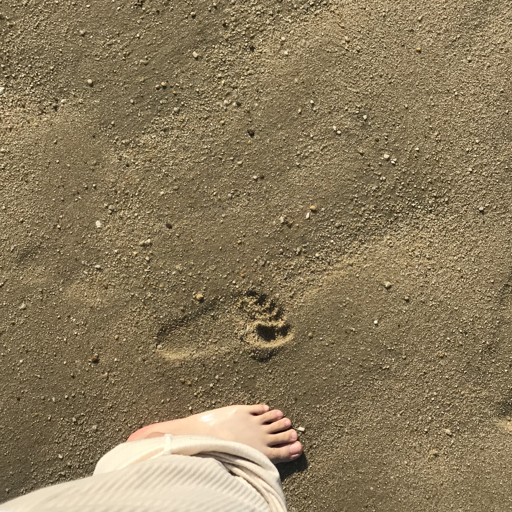 渔港公园旅行图片 3