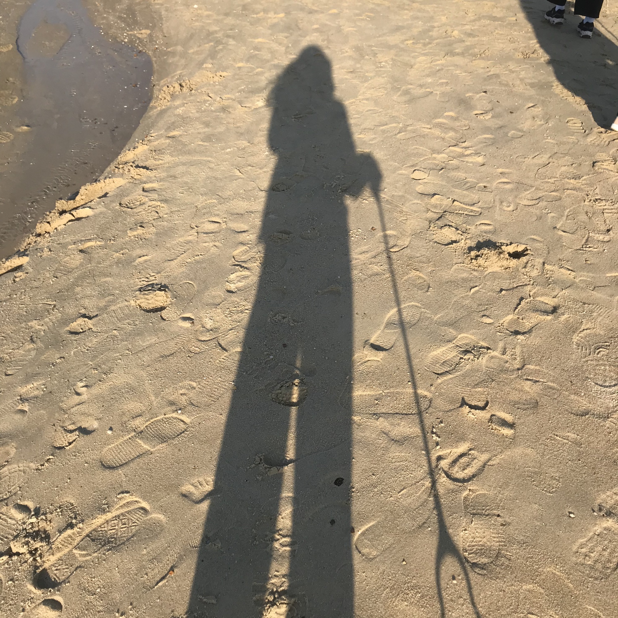 渔港公园旅行图片 2