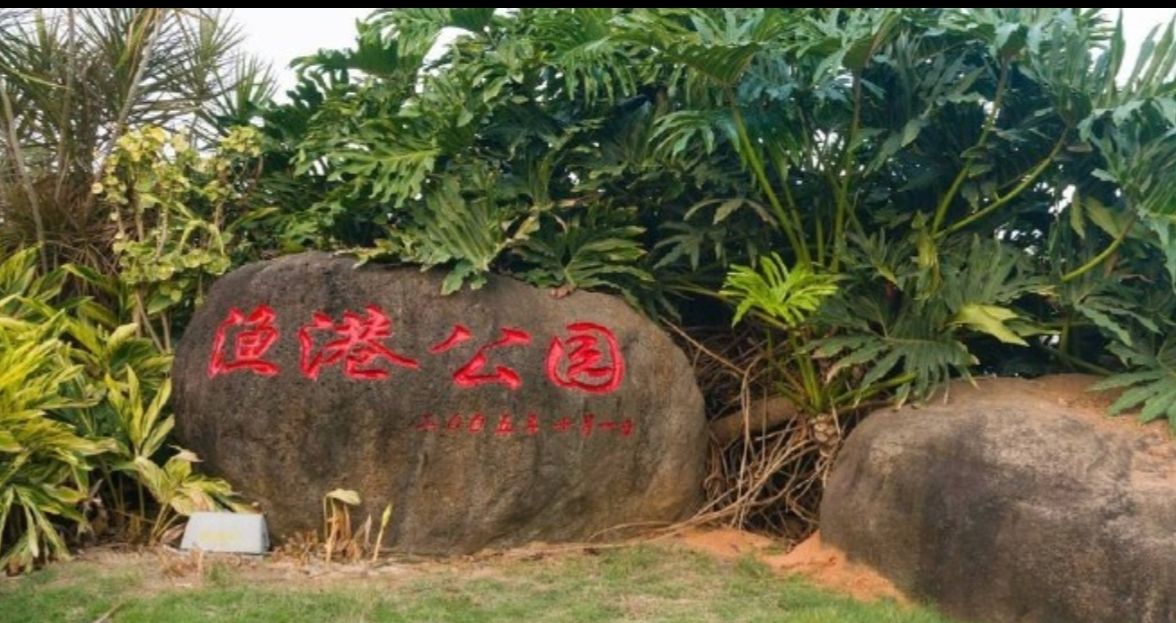 渔港公园景点图片