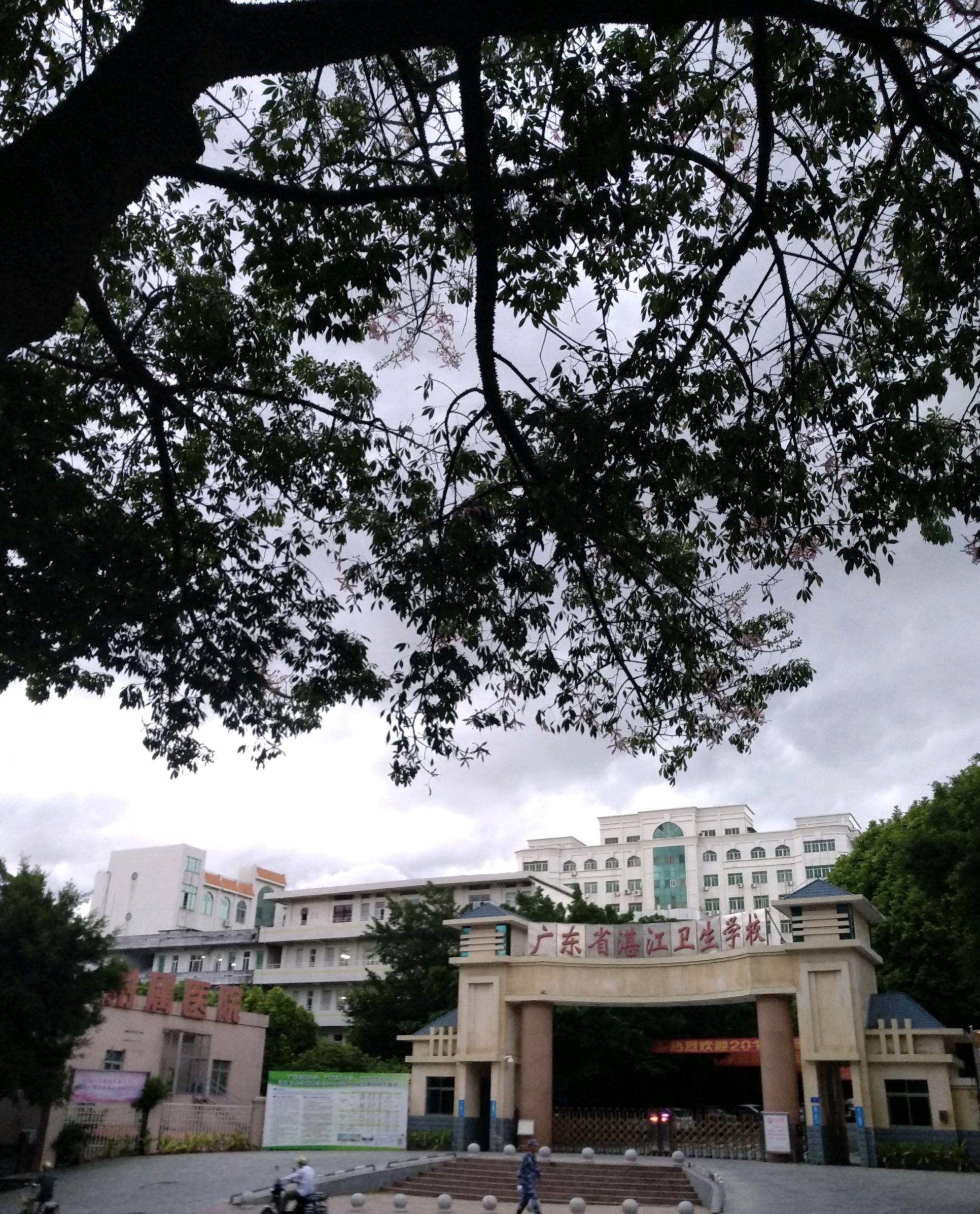 广东省湛江卫生学校